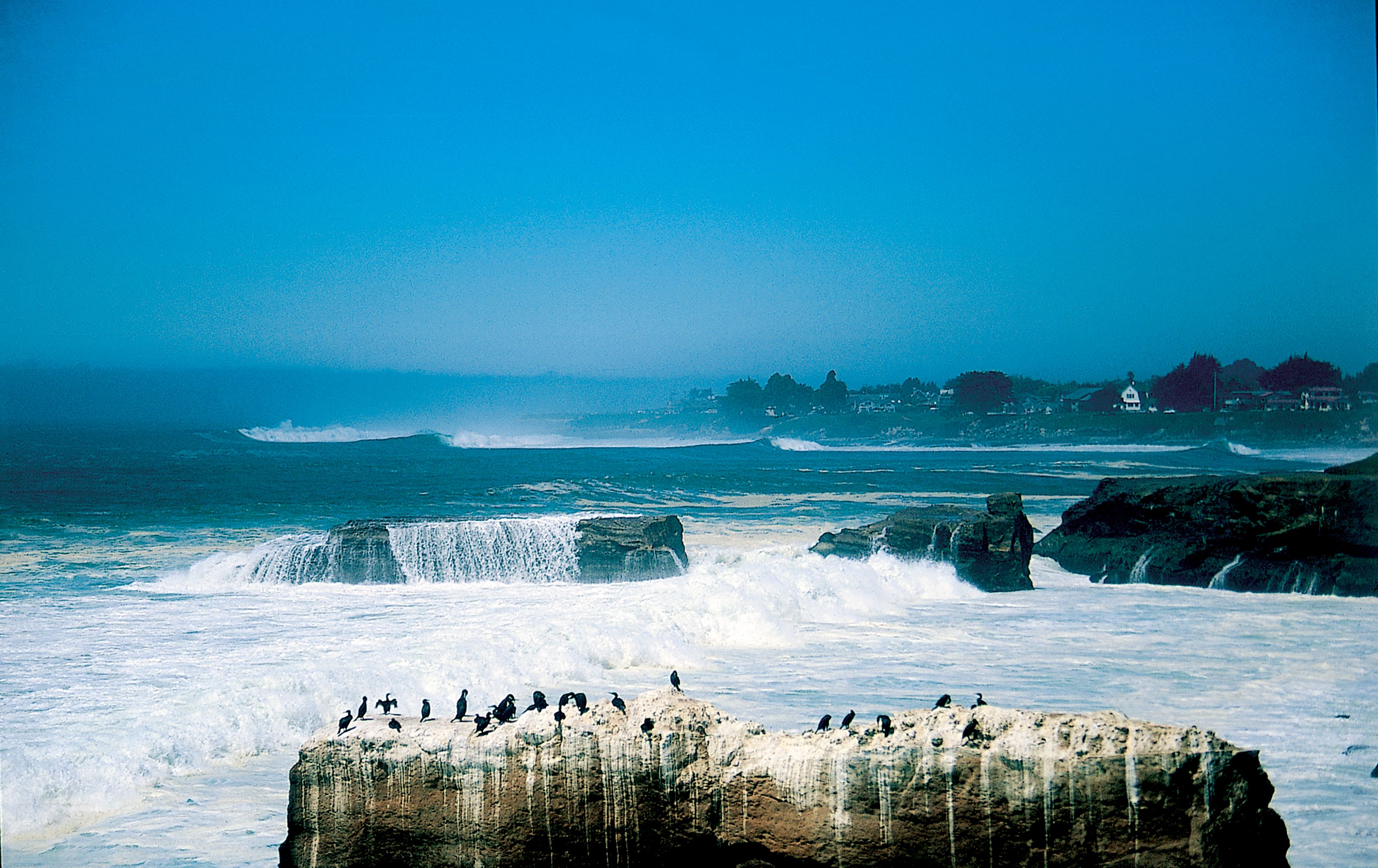 スポーツ COASTLINE SURF 7ETSETVUZVHMDA3EXHL4E66HX4.jpg