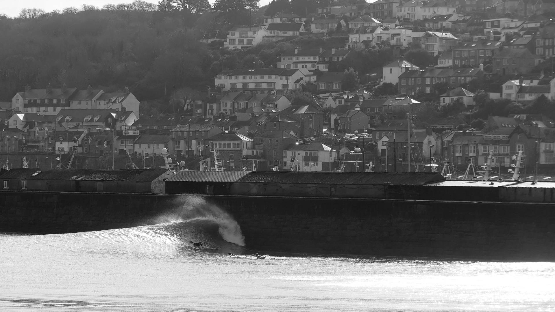 Newlyn Harbour by Dan Haylock