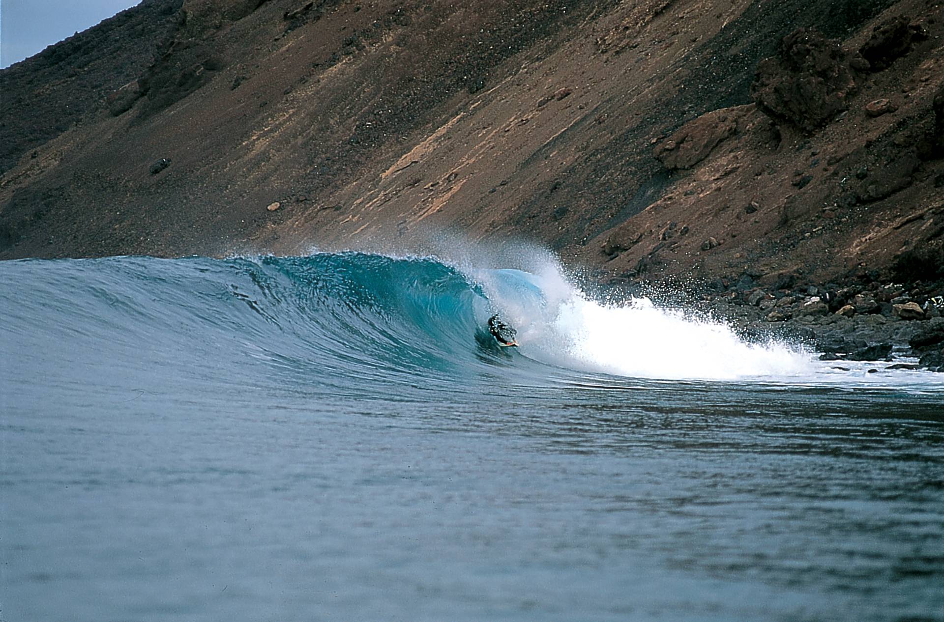 Los Lobos by Phil Holden