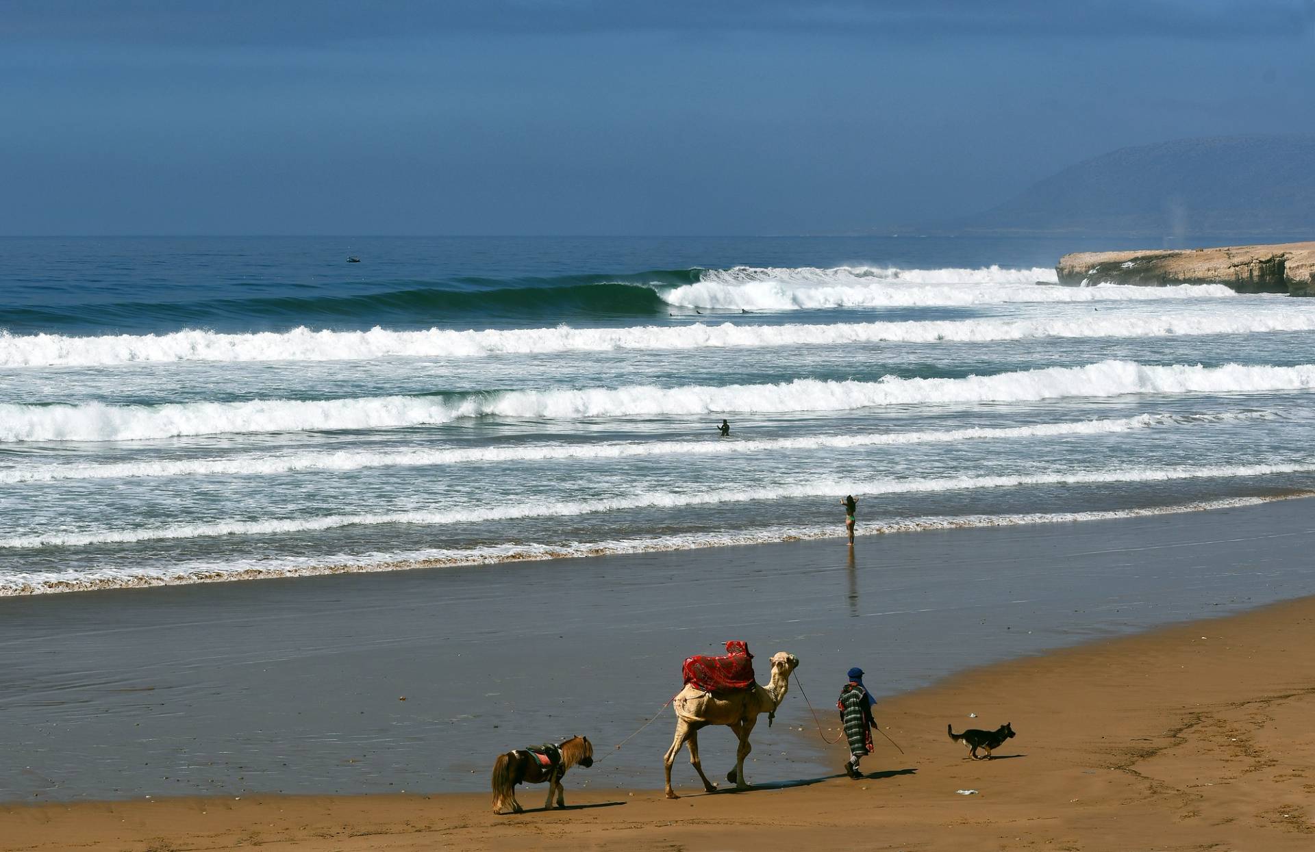 Camel Point by Bruce Sutherland