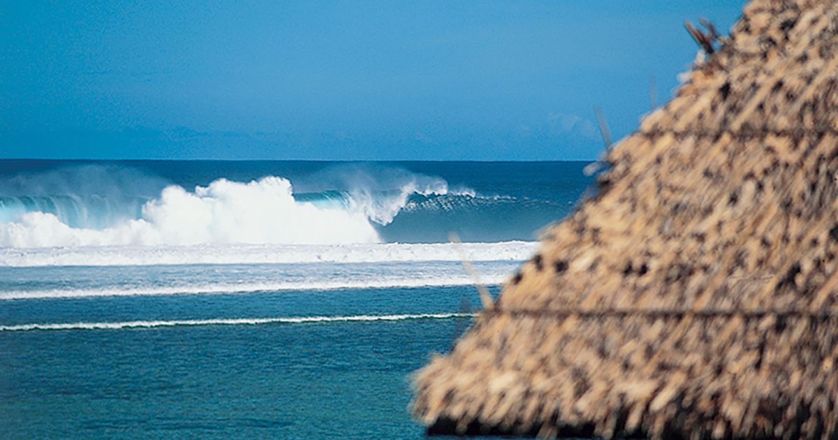 Pacifico Wave Rider Pacifico Surf Guide (Siargao, Philippines) – Wave Info & Tips ...