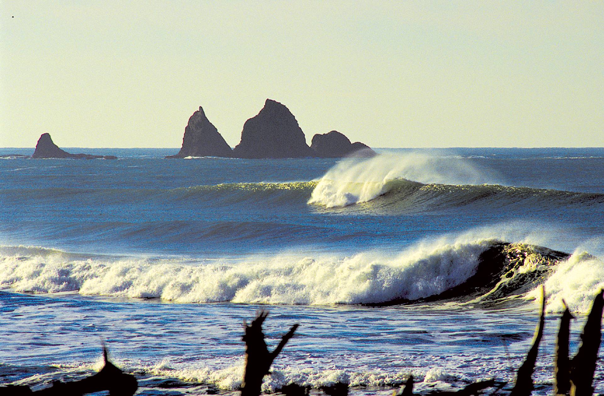 La Push by Stump Photo