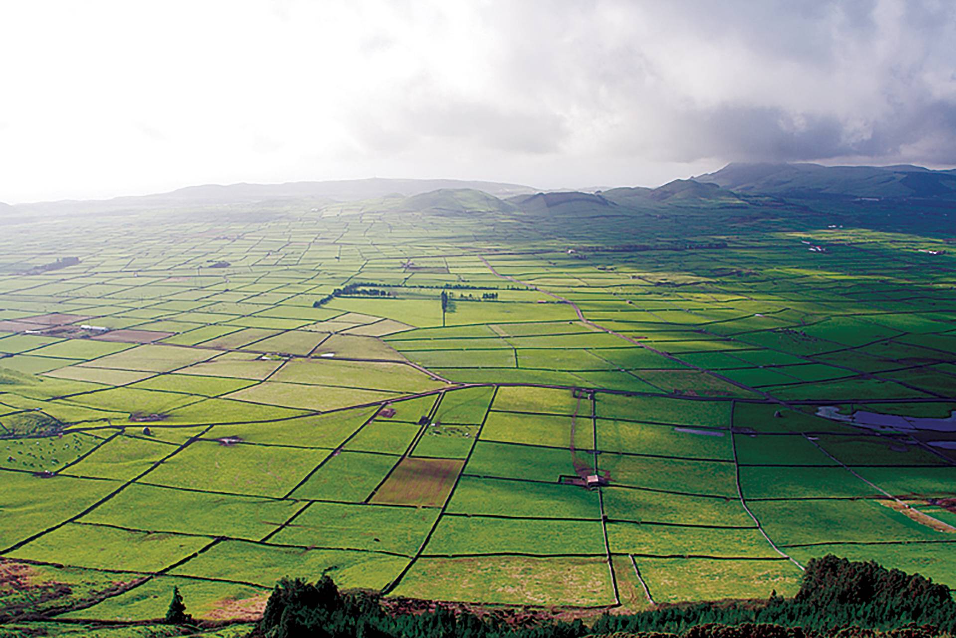 Terceira by Dan Haylock