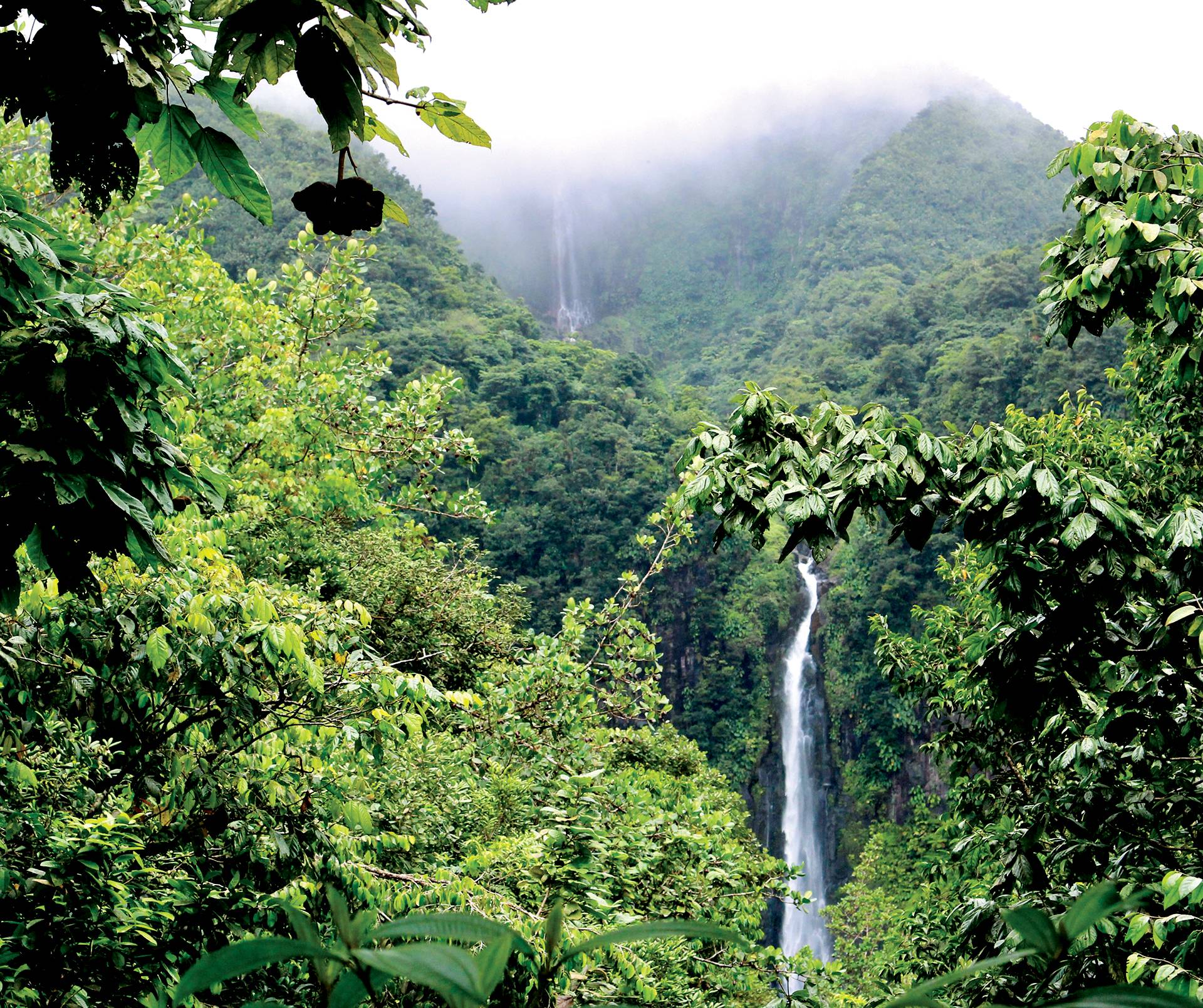 Guadeloupe Travel by Ollie Fitzjones