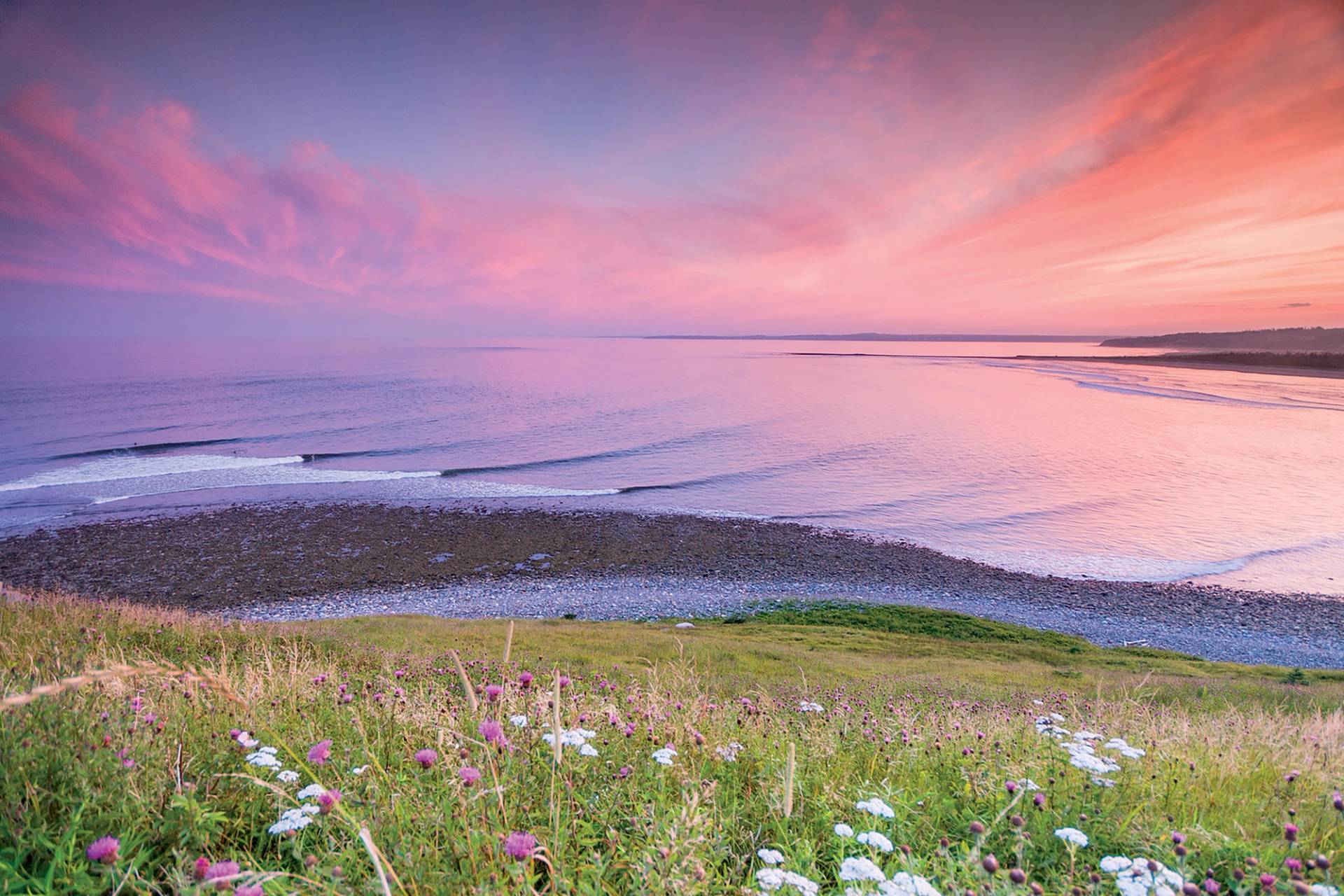 Teahouse, Lawrencetown by Adam Cornick