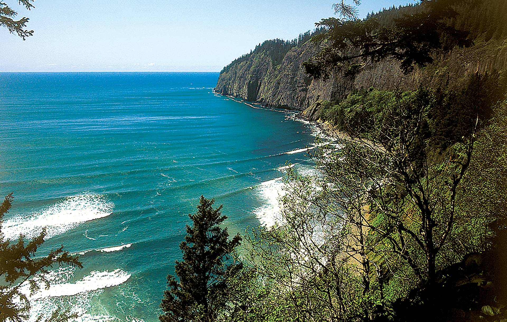 Cape Lookout by Michael Kew