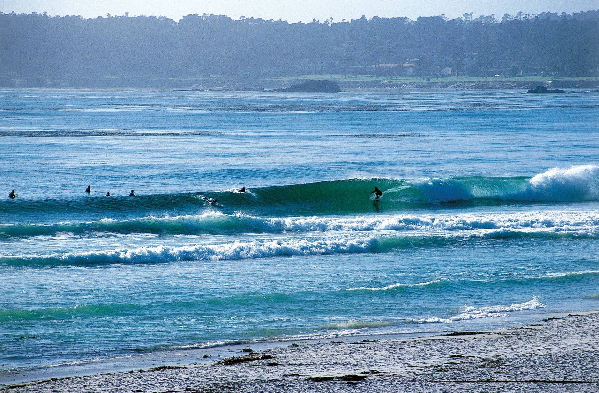 Carmel Beach by Don Balch