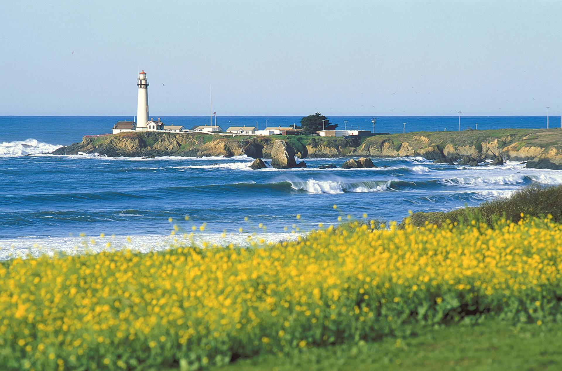 Bean Hollow State Beach by Vern Fisher