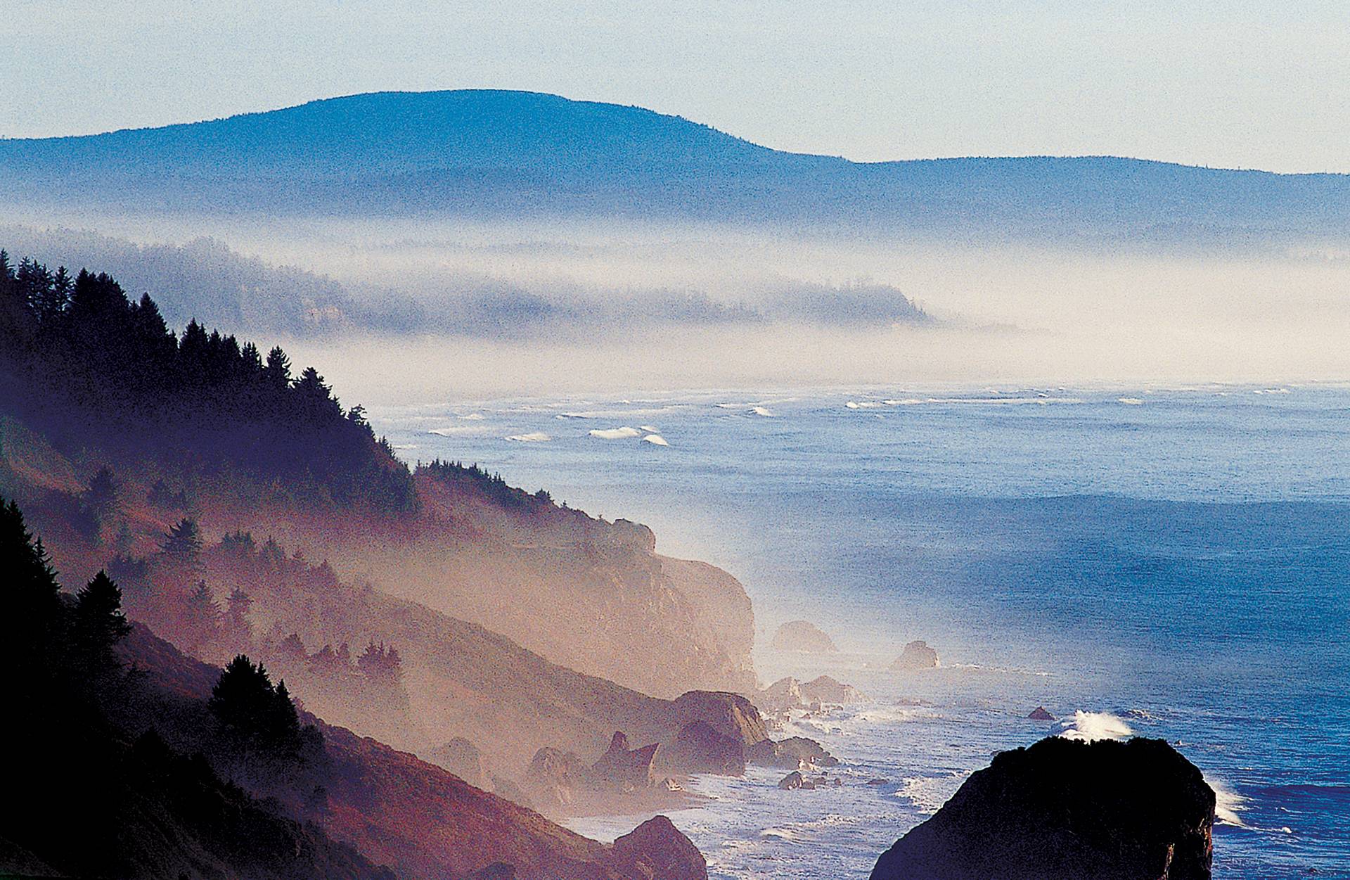 Oregon Travel  - Mist and sea fog is common by Patrick Trefz