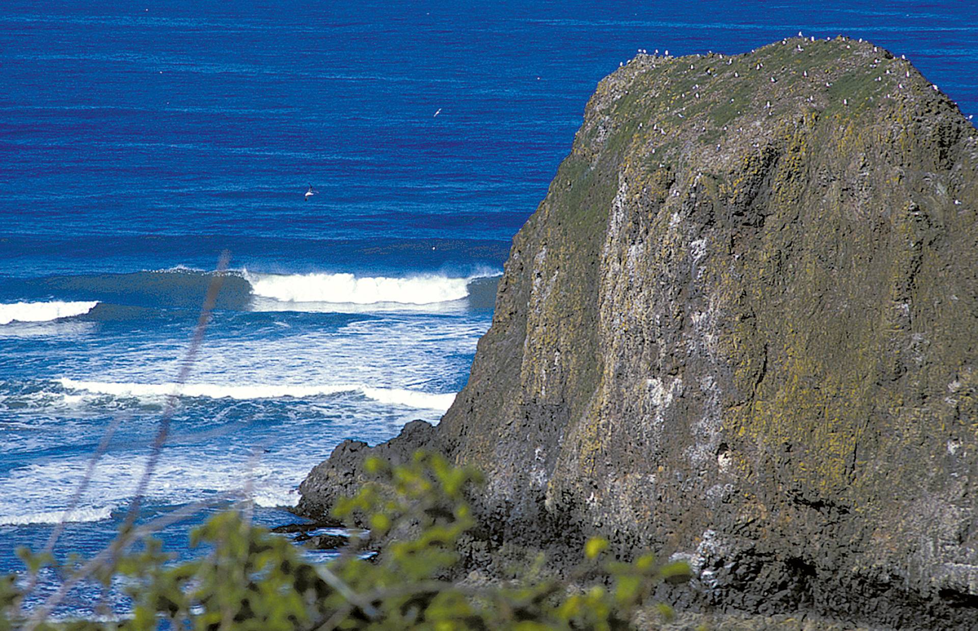 Cannon Beach/Tolovana Beach by Michael Kew