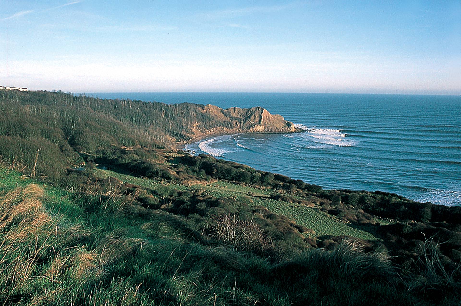 Scarborough Point by Paul Gill