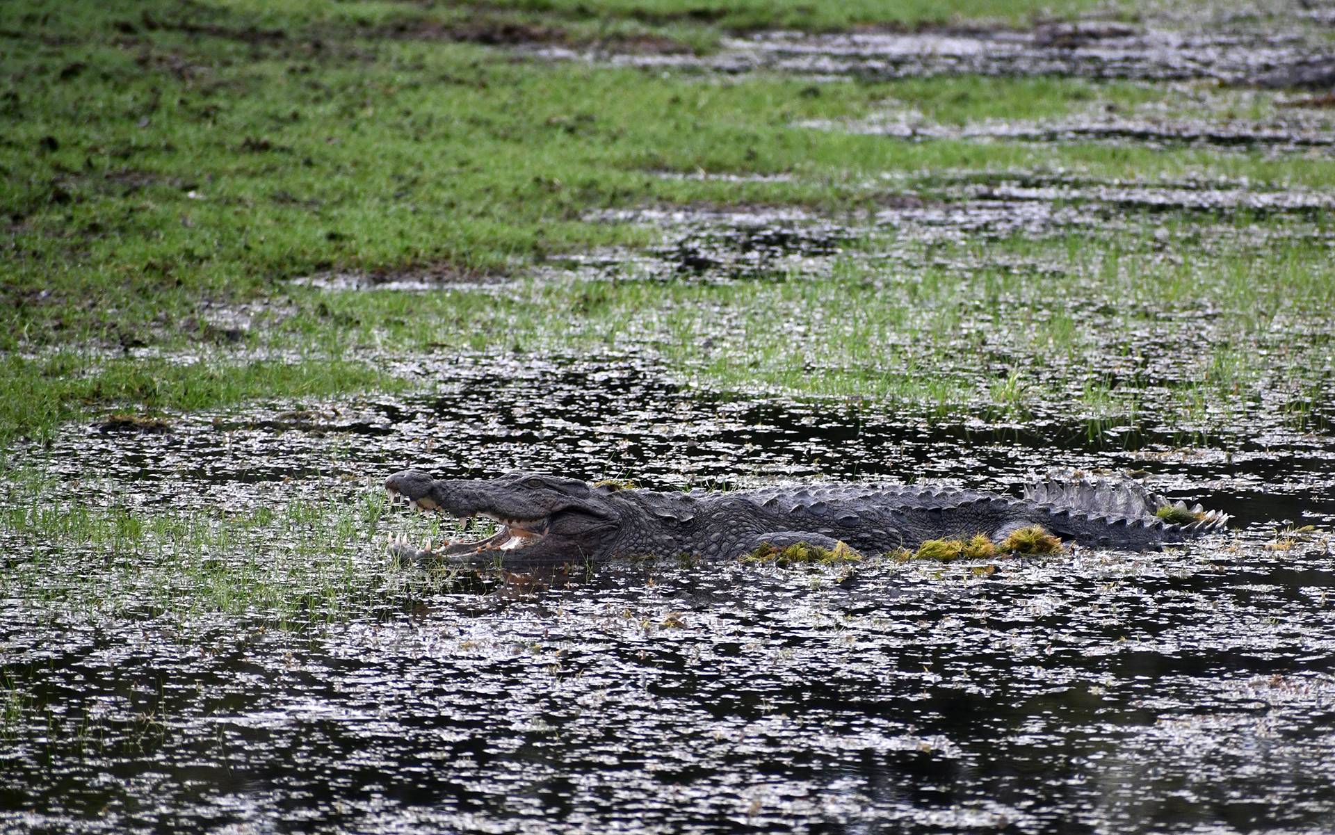 Kumana National Park by Bruce Sutherland