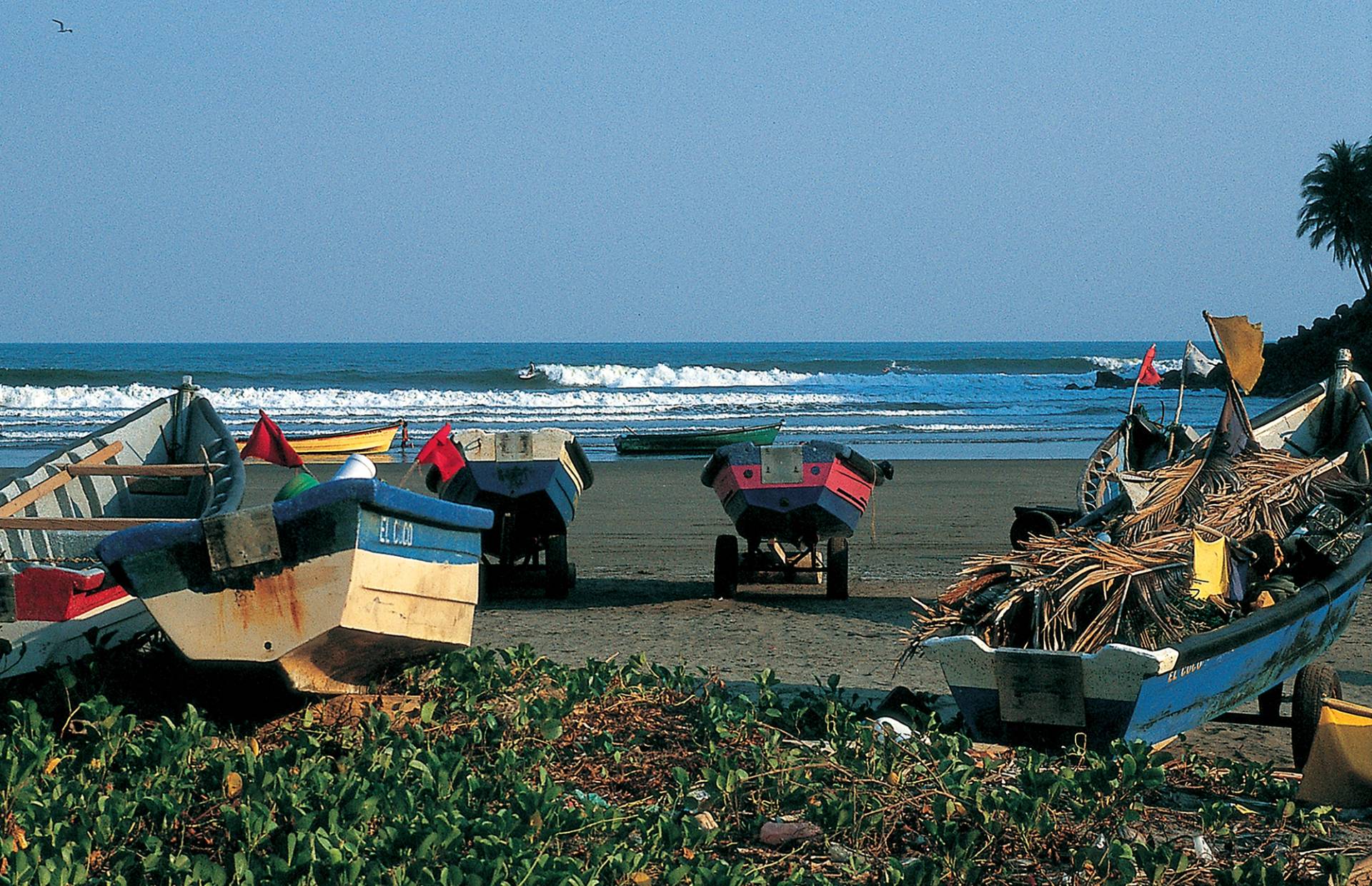 Las Flores by Bruce Sutherland