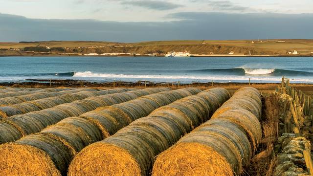 Thurso East