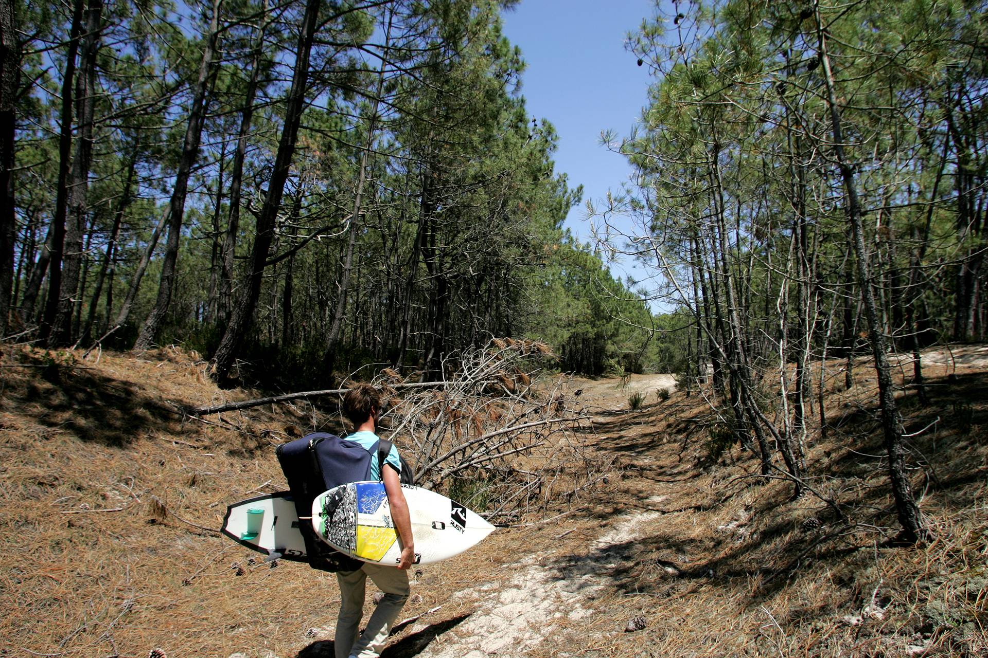 Landes Forest Walk to avoid the crowds by Laurent Masurel