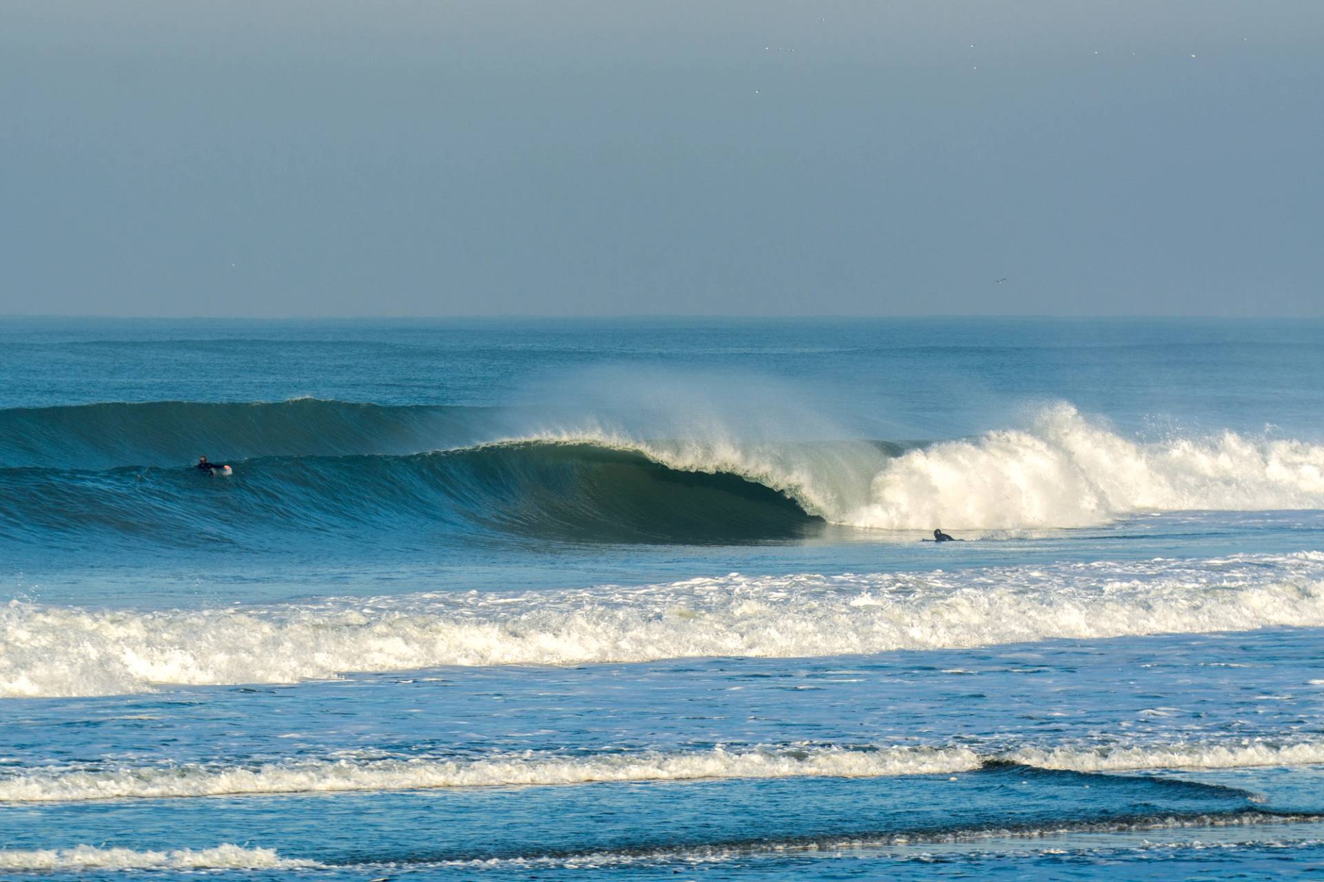 Espinho by Francisco Antunes