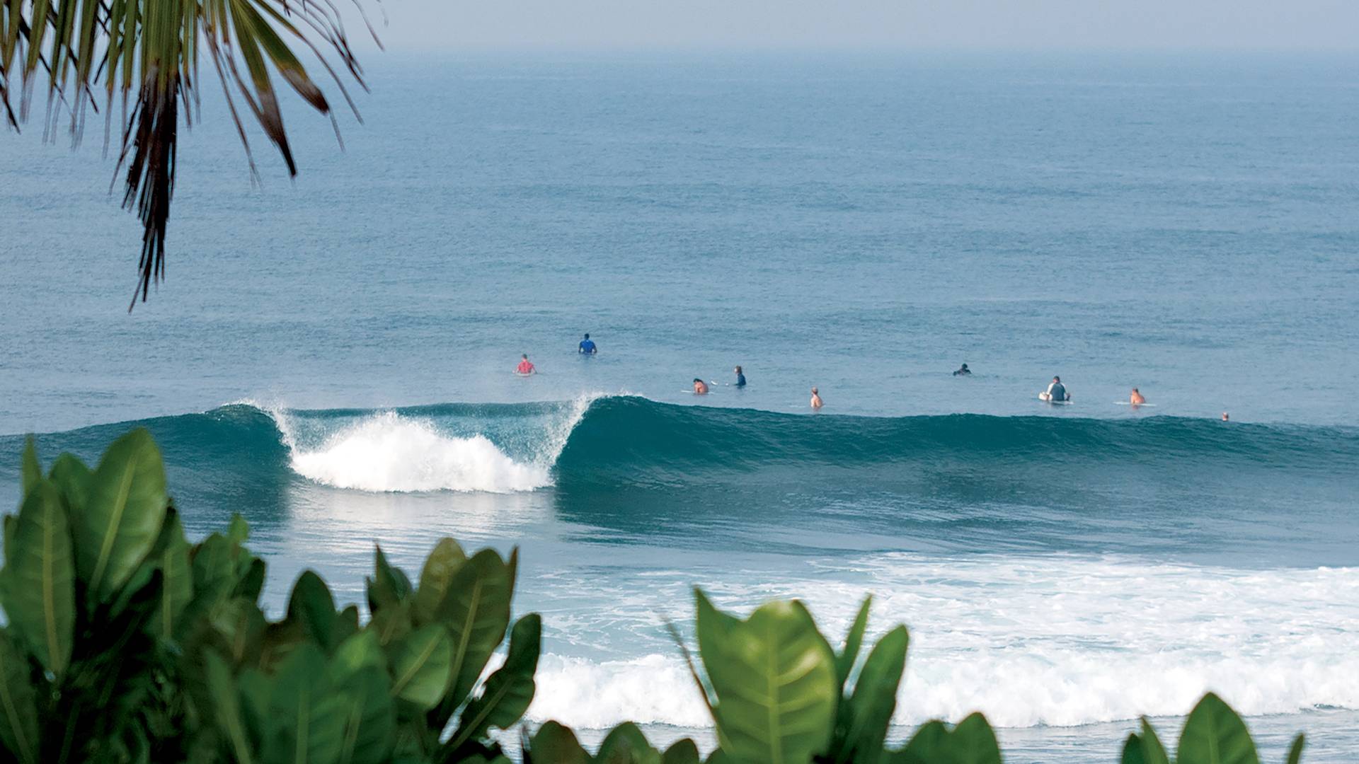 Video yigit uchun marjonlarni Kokraklar qol bilan qoplangan