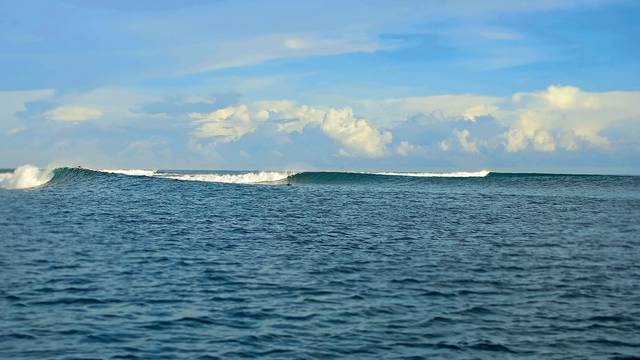 Nusa Lefts