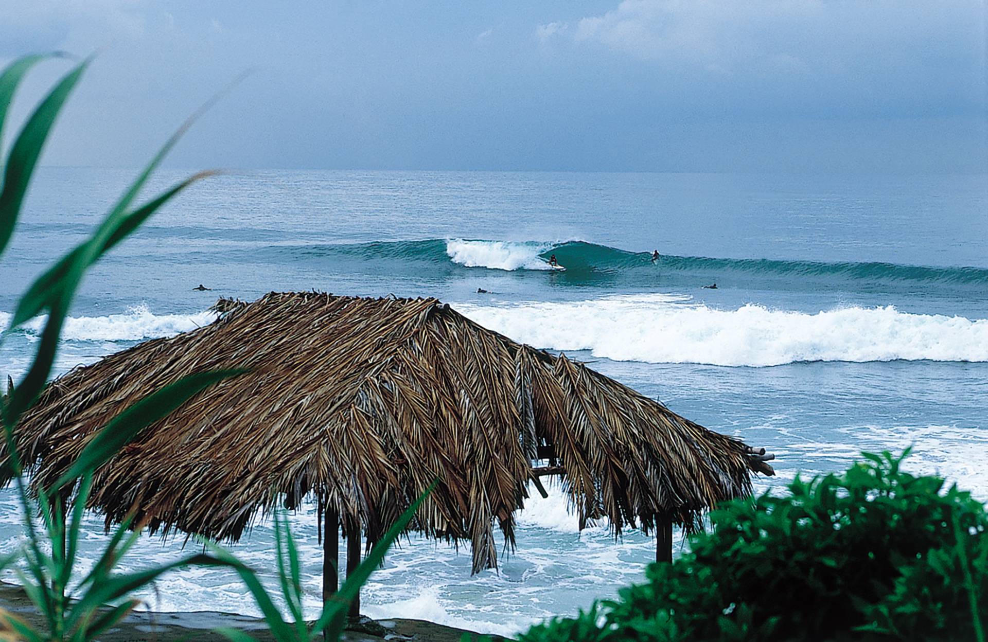 Windansea Beach by Don Balch