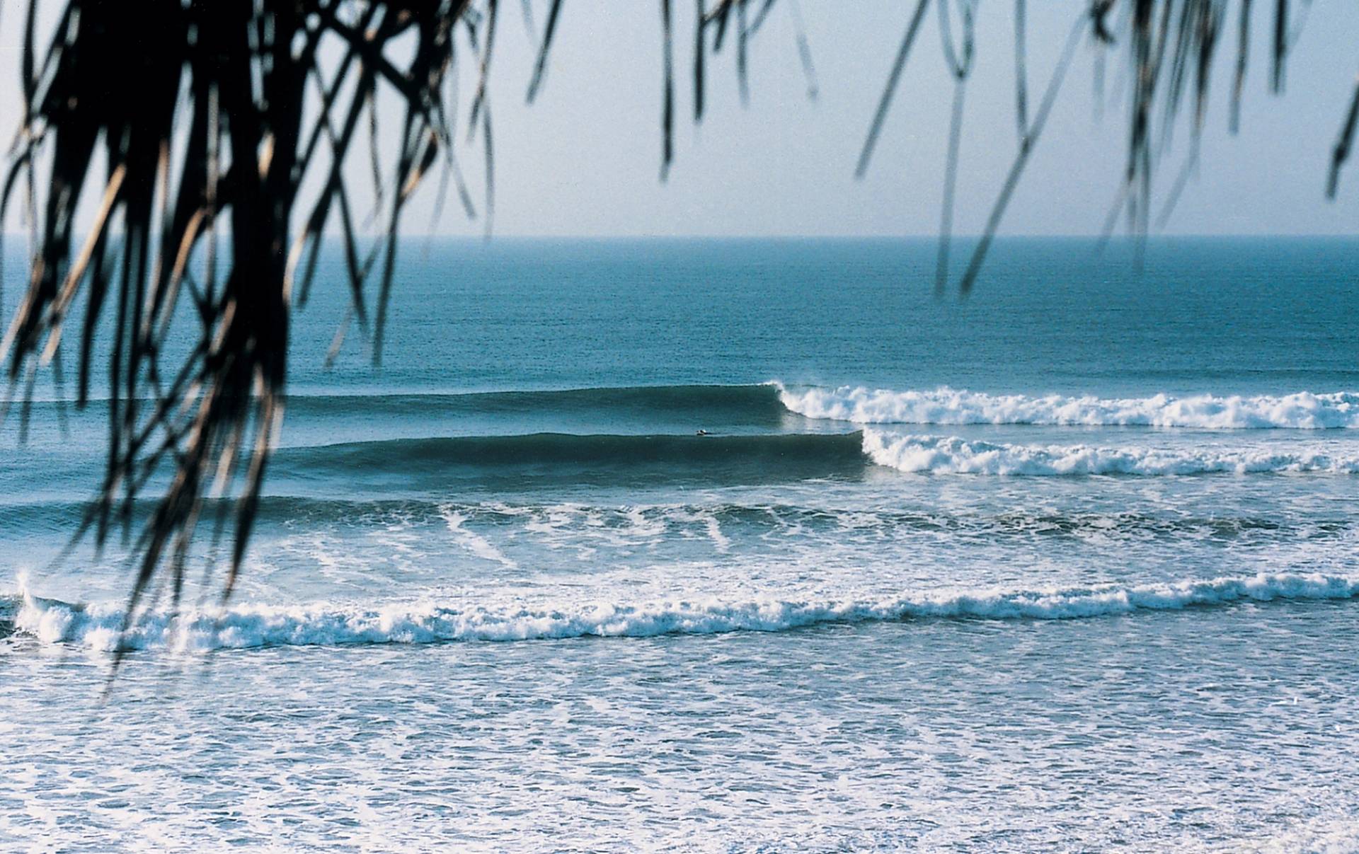 Punta Roca by Steve Fitzpatrick