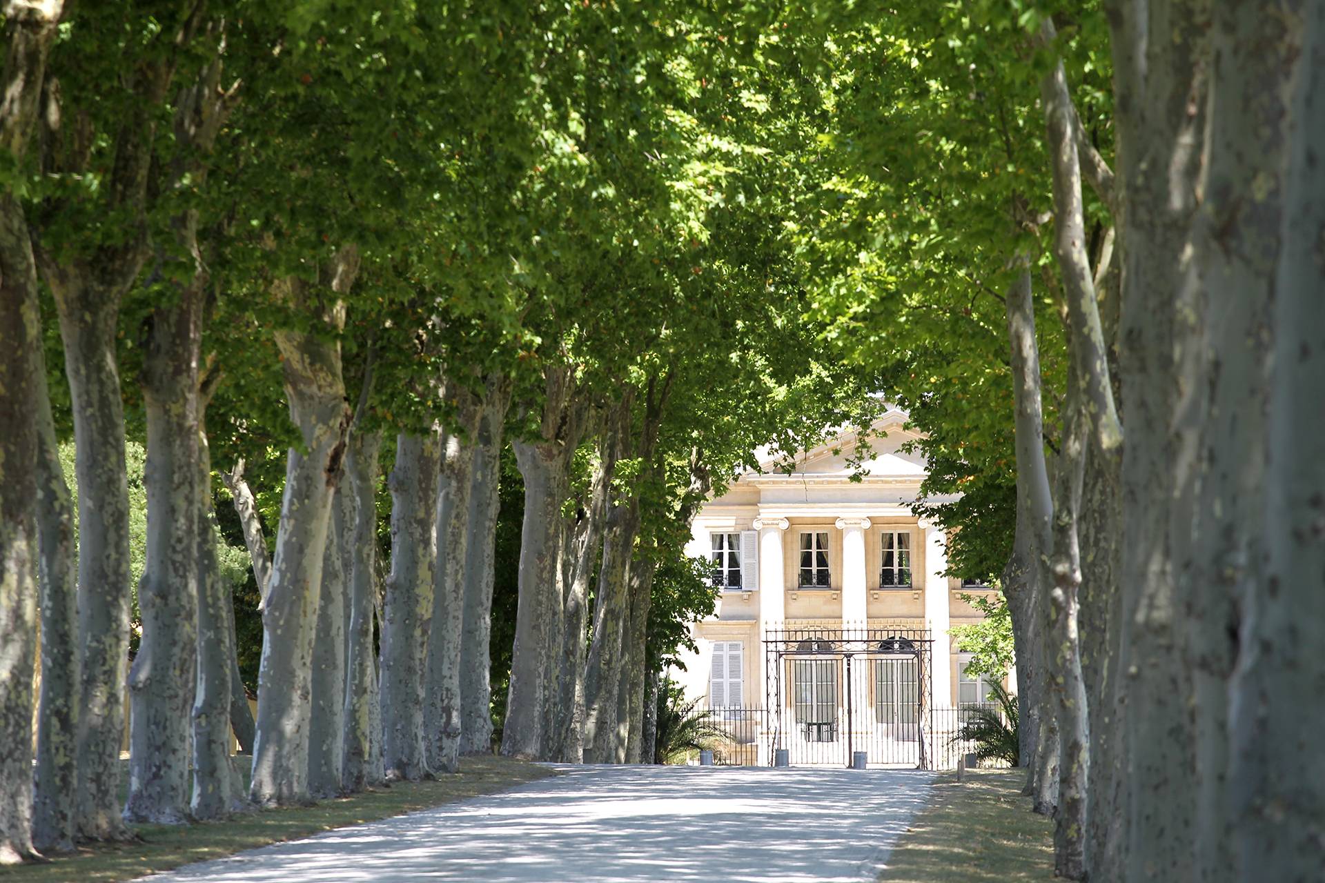 Medoc by Laurent Masurel