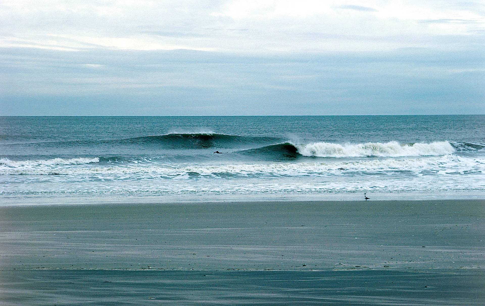 Sea Isle City by Doug Gothold