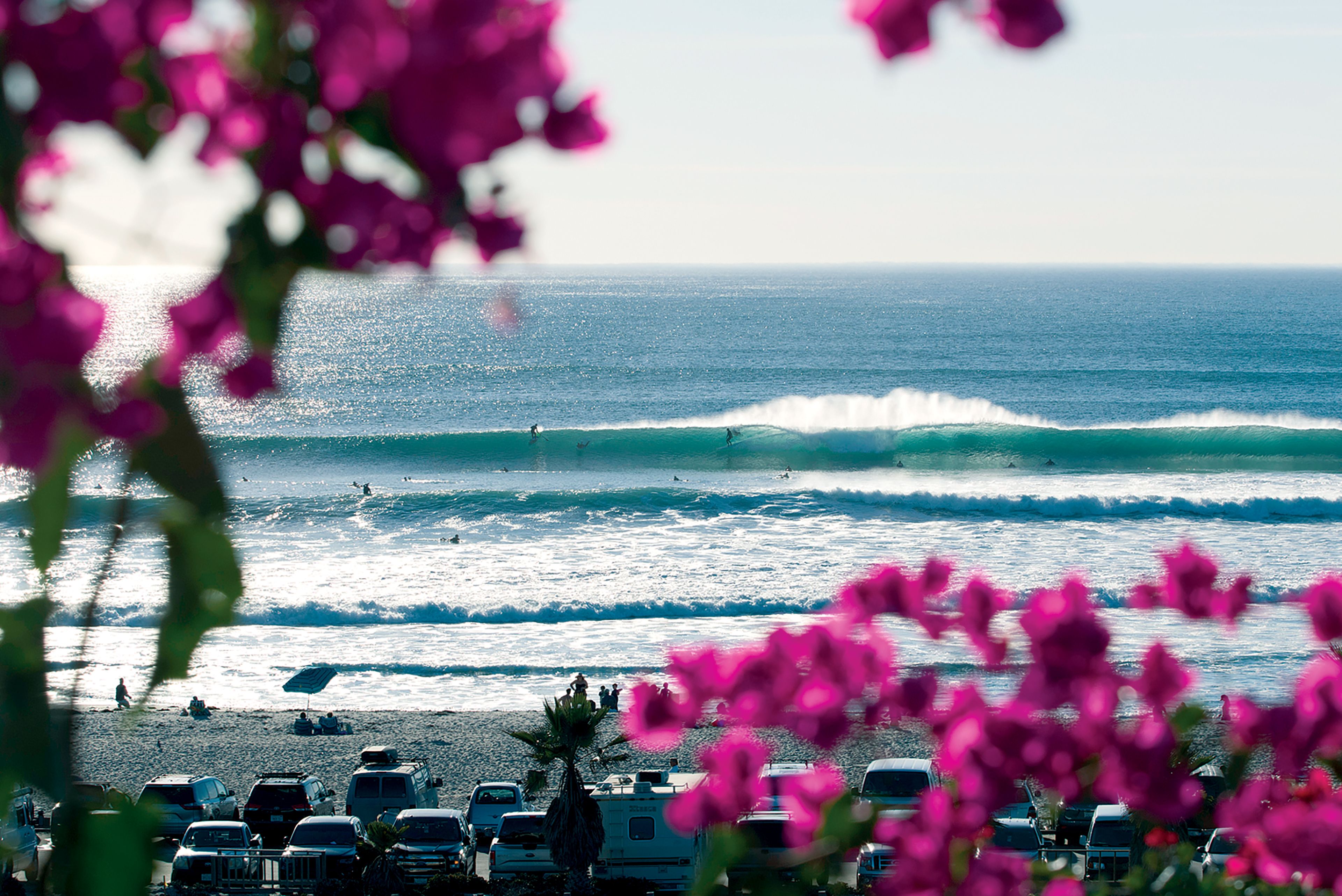 Cardiff Reef Surf Guide (San Diego County, Southern California