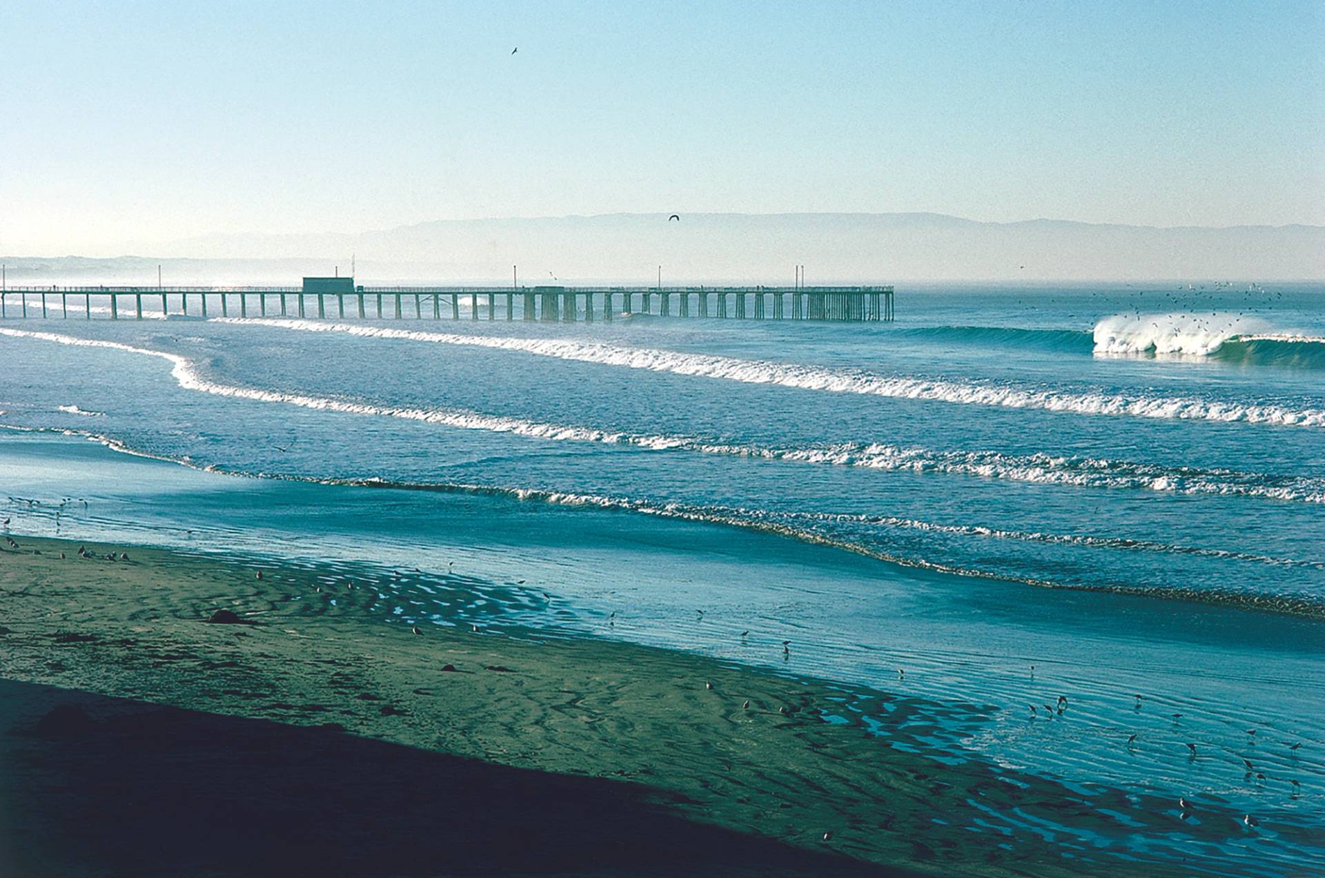 Pismo Beach Pier by Aaron Loyd