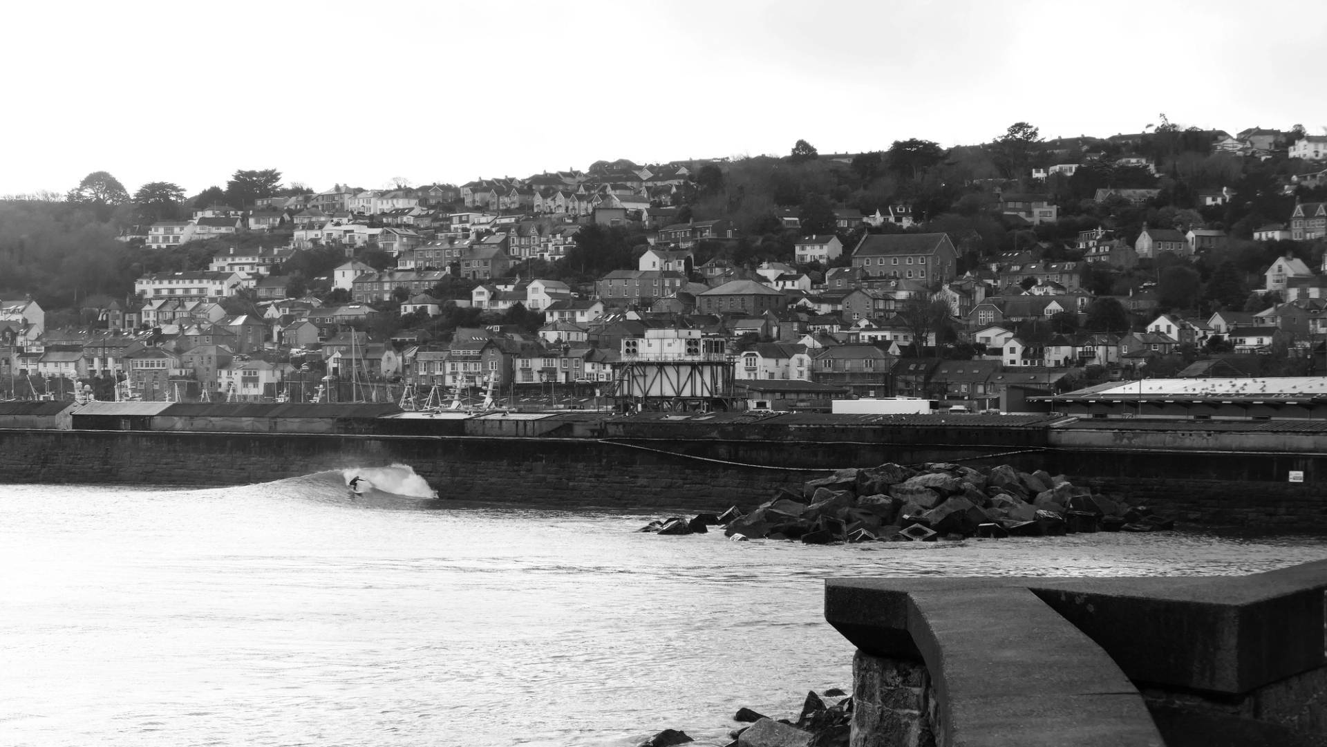 Newlyn Harbour by Dan Haylock