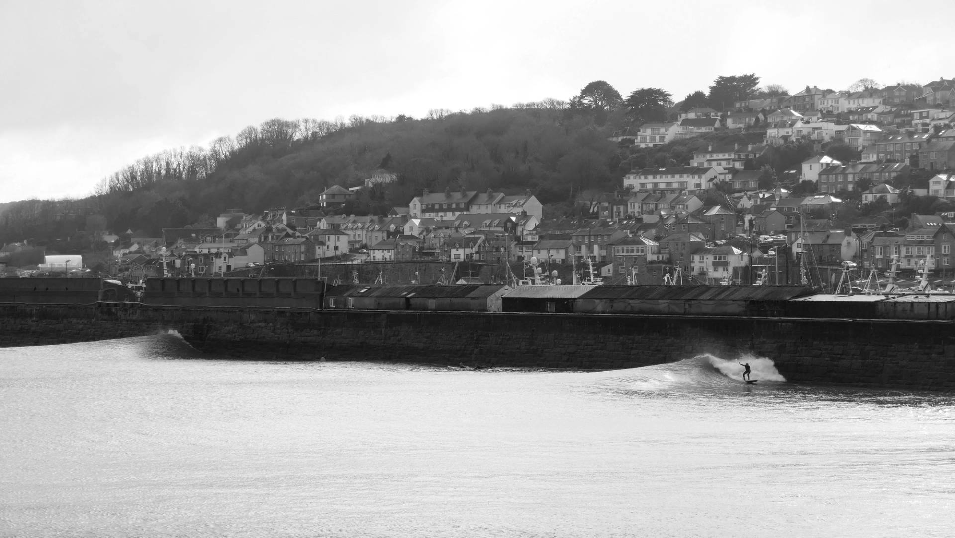 Newlyn Harbour by Dan Haylock