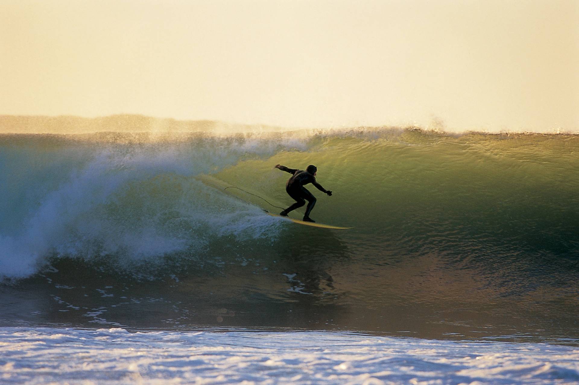 Western Cape by Barry Tuck