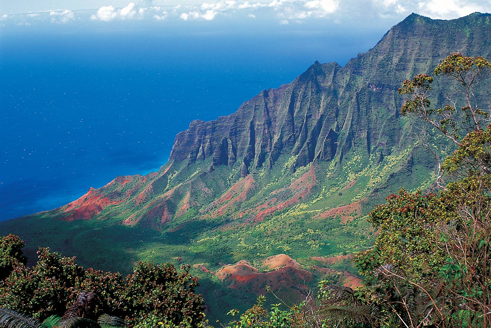 Kauai - Lalalau, Napali Coast by Don Balch