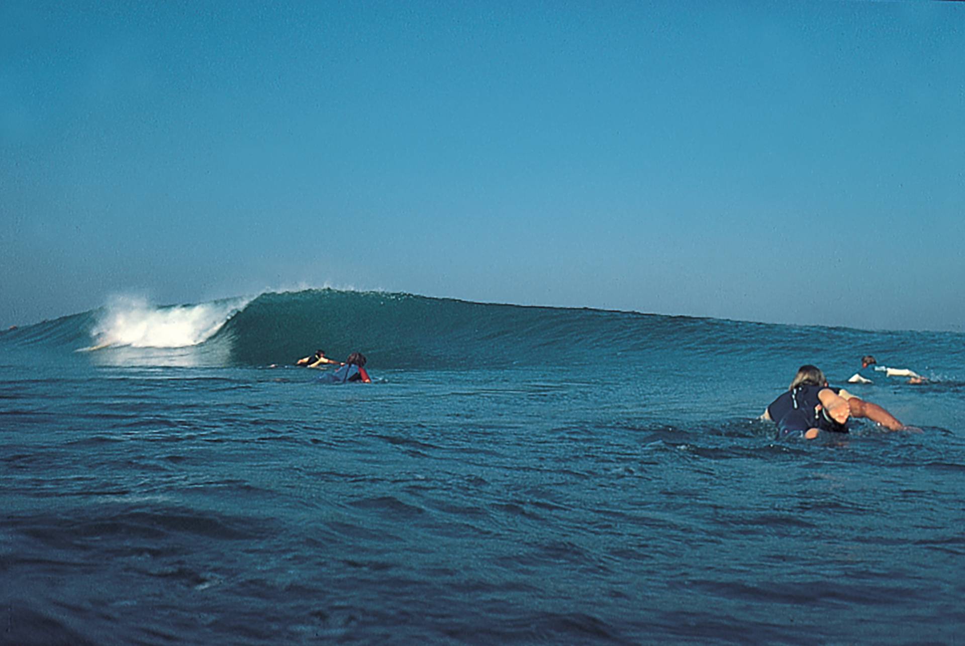 La Torche by Peter Cade