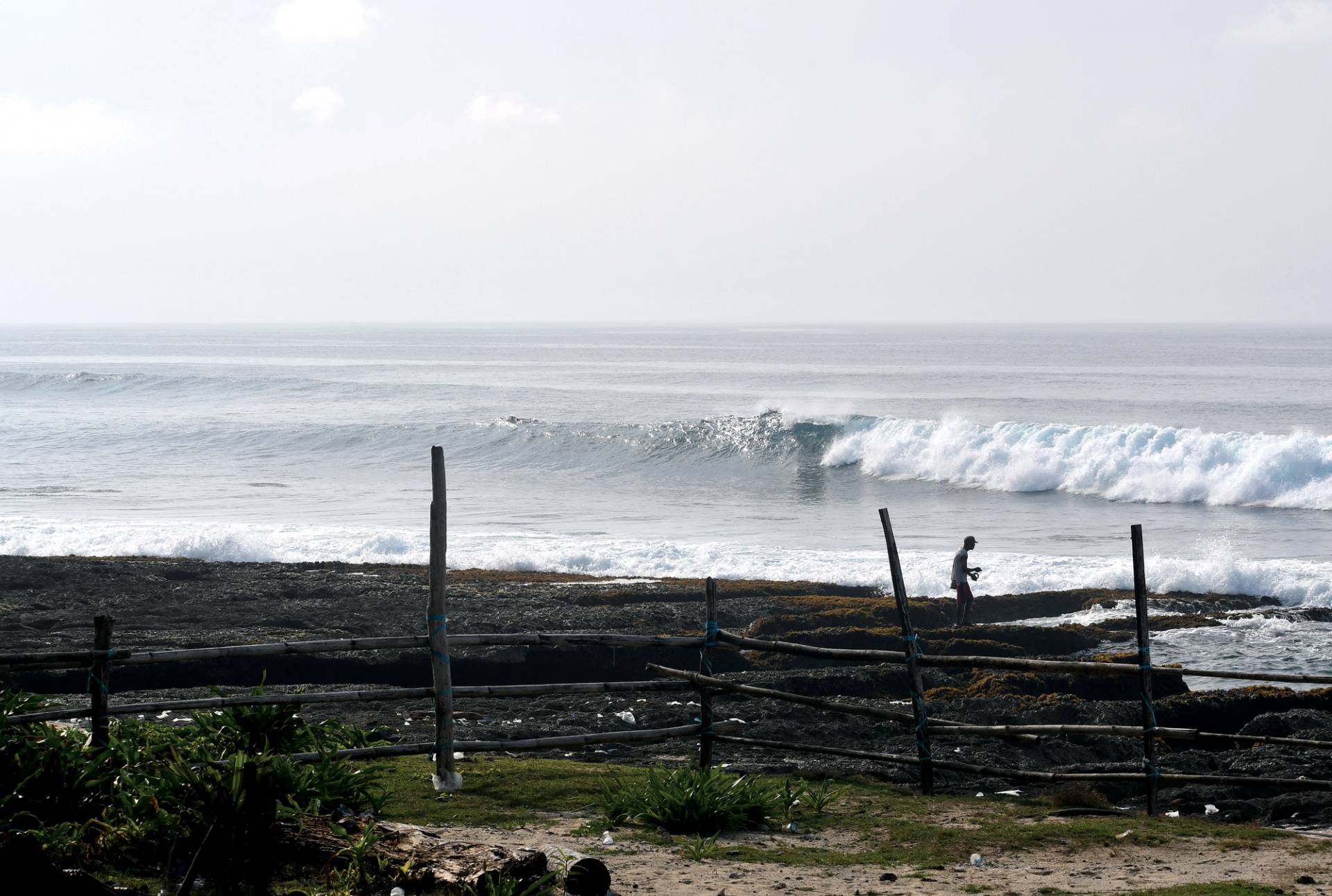 Big Wave Daves by Bruce Sutherland