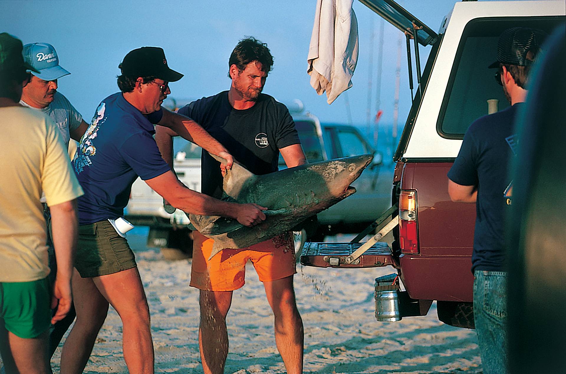 Outer Banks Shark Fishing by Mez ESM