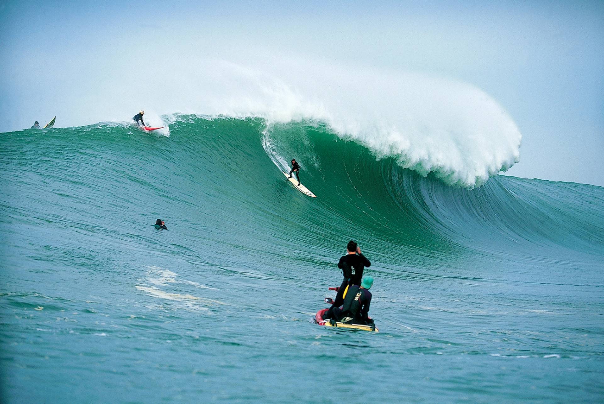 Mavericks by Rob Gilley