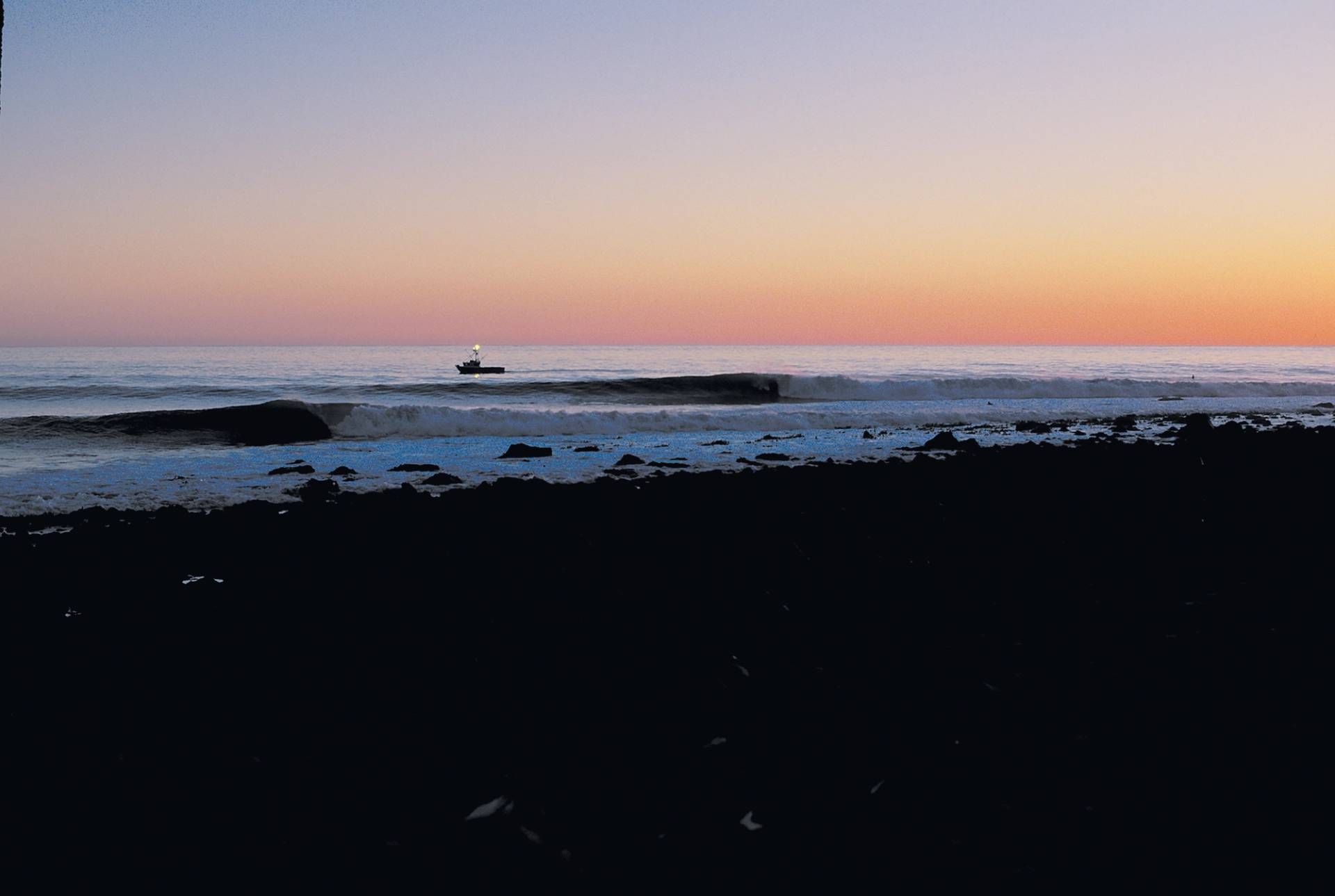 Northern Humboldt by Michael Kew