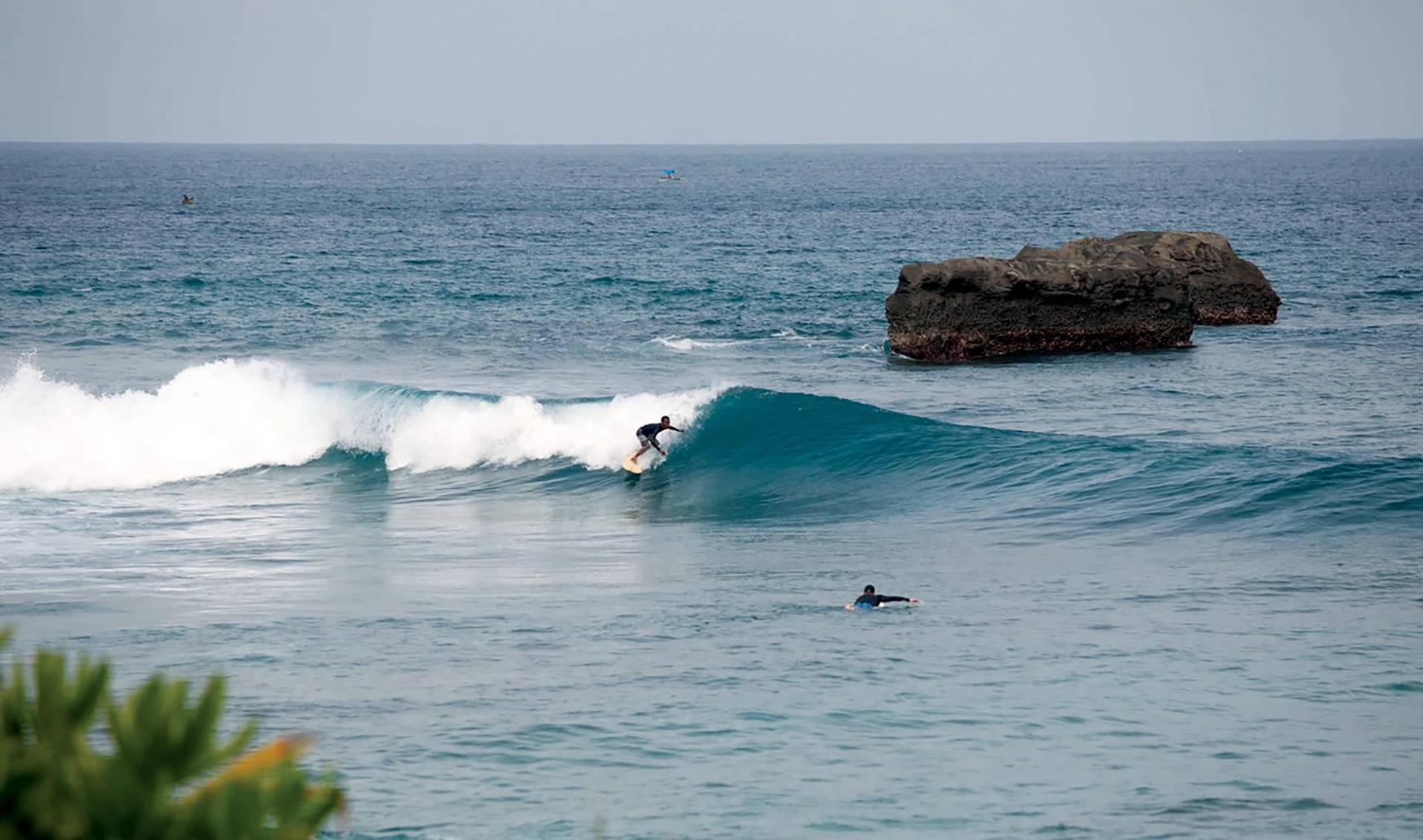 Turtles, Simeulue by Island Time Beach House