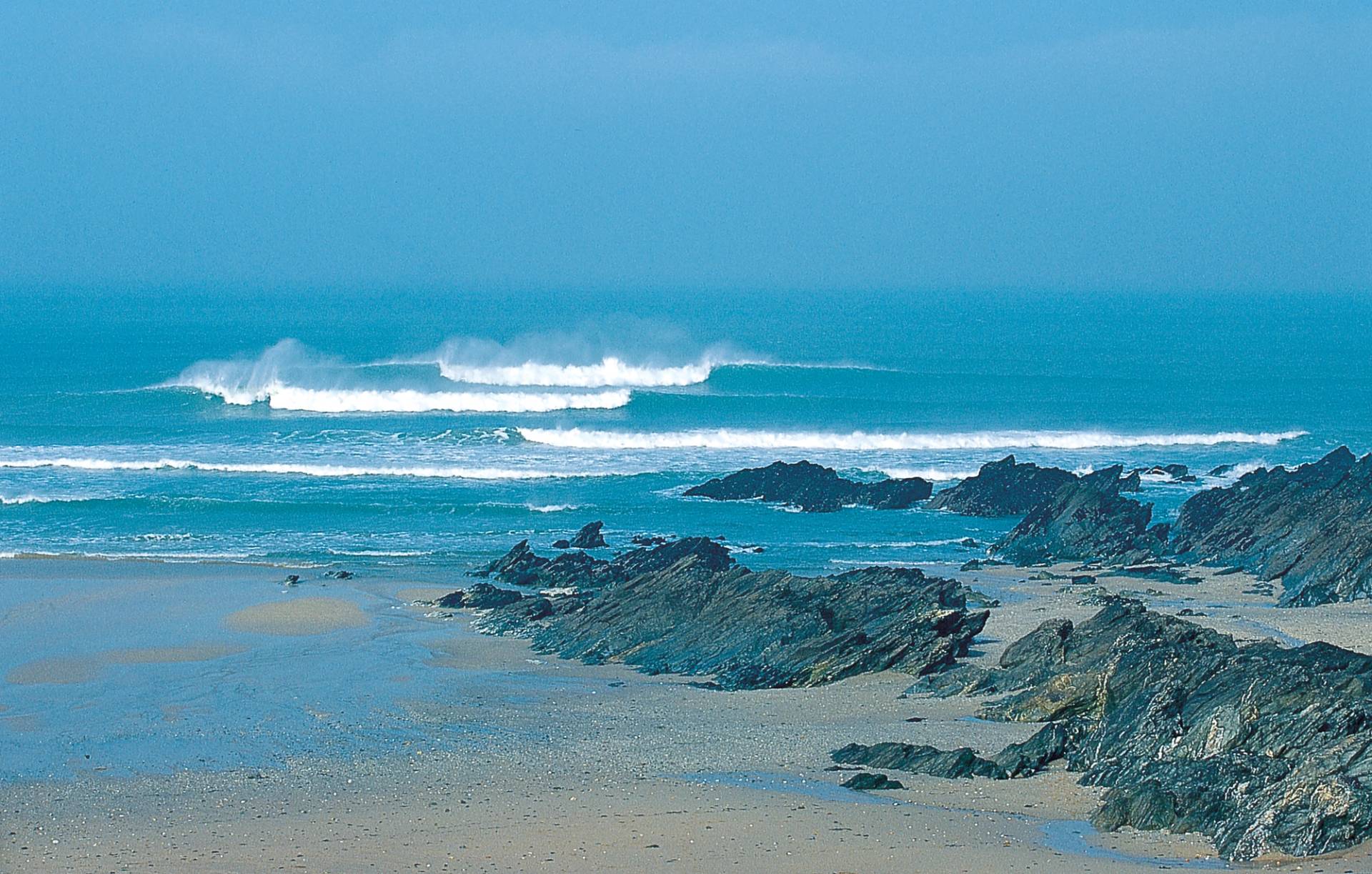 North Fistral by Alex Williams