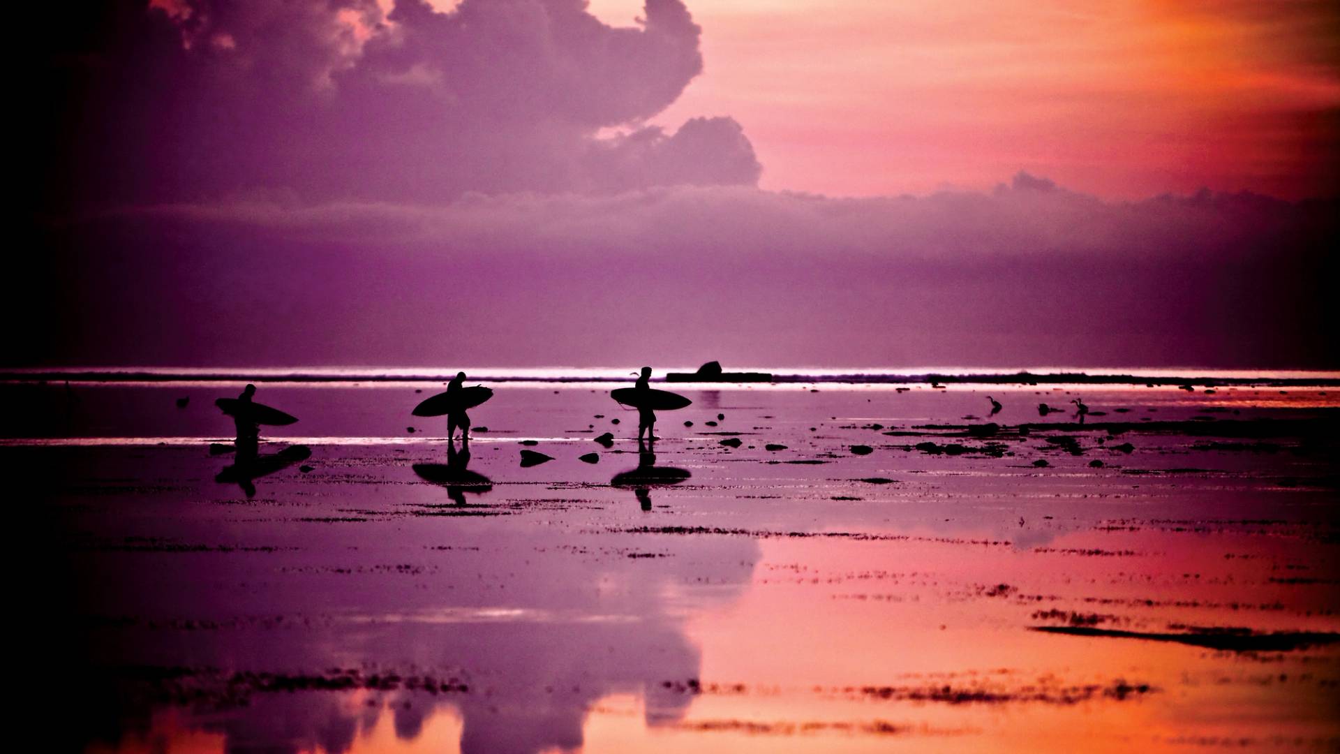 Indonesia Morning Reef Walk by Mick Curley