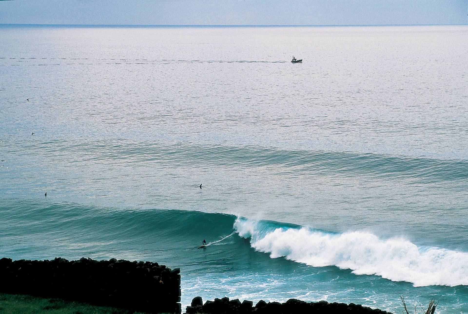 Jardim do Mar by Julian Wicksteed