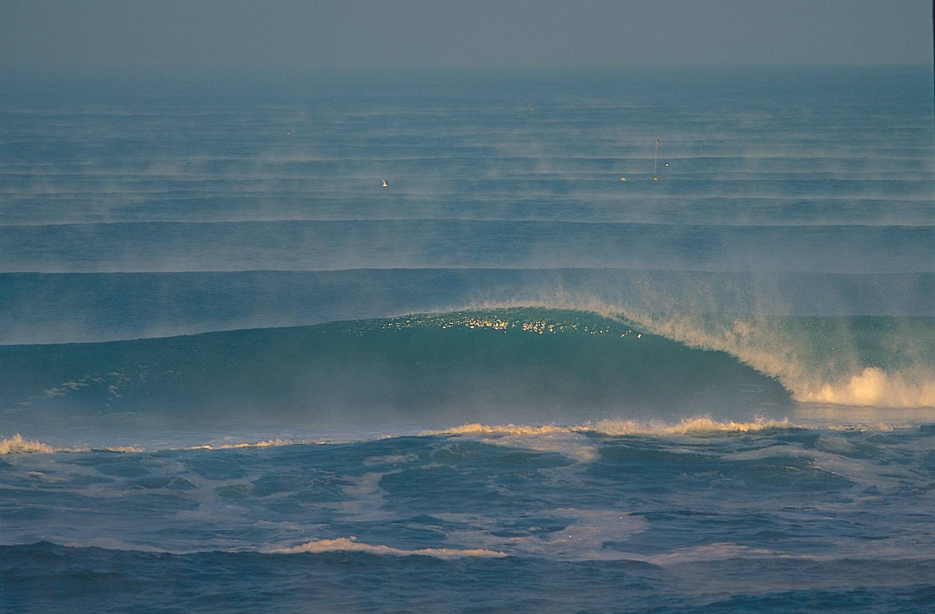 Les Cul Nuls by Laurent Masurel