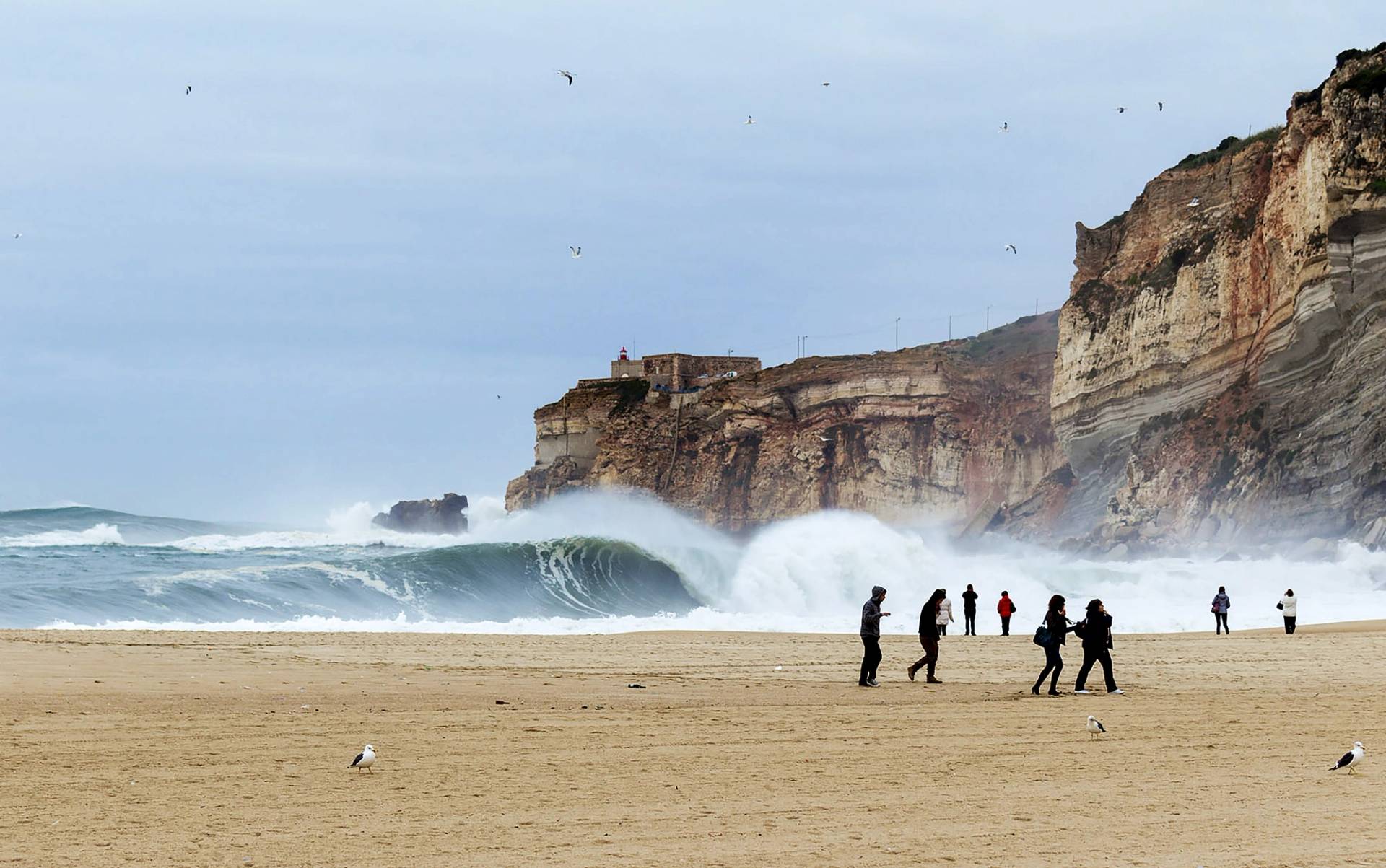 Praia da Nazaré by Ricardo Bravo