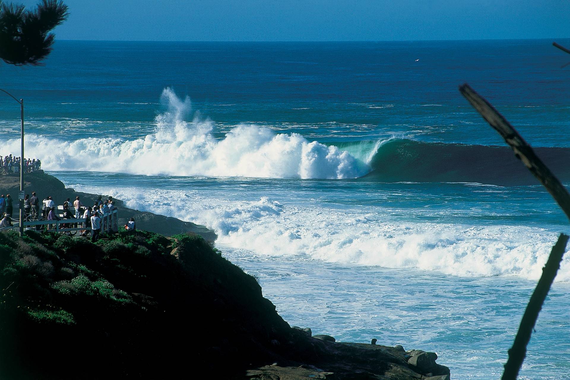 La Jolla Cove by Don Balch