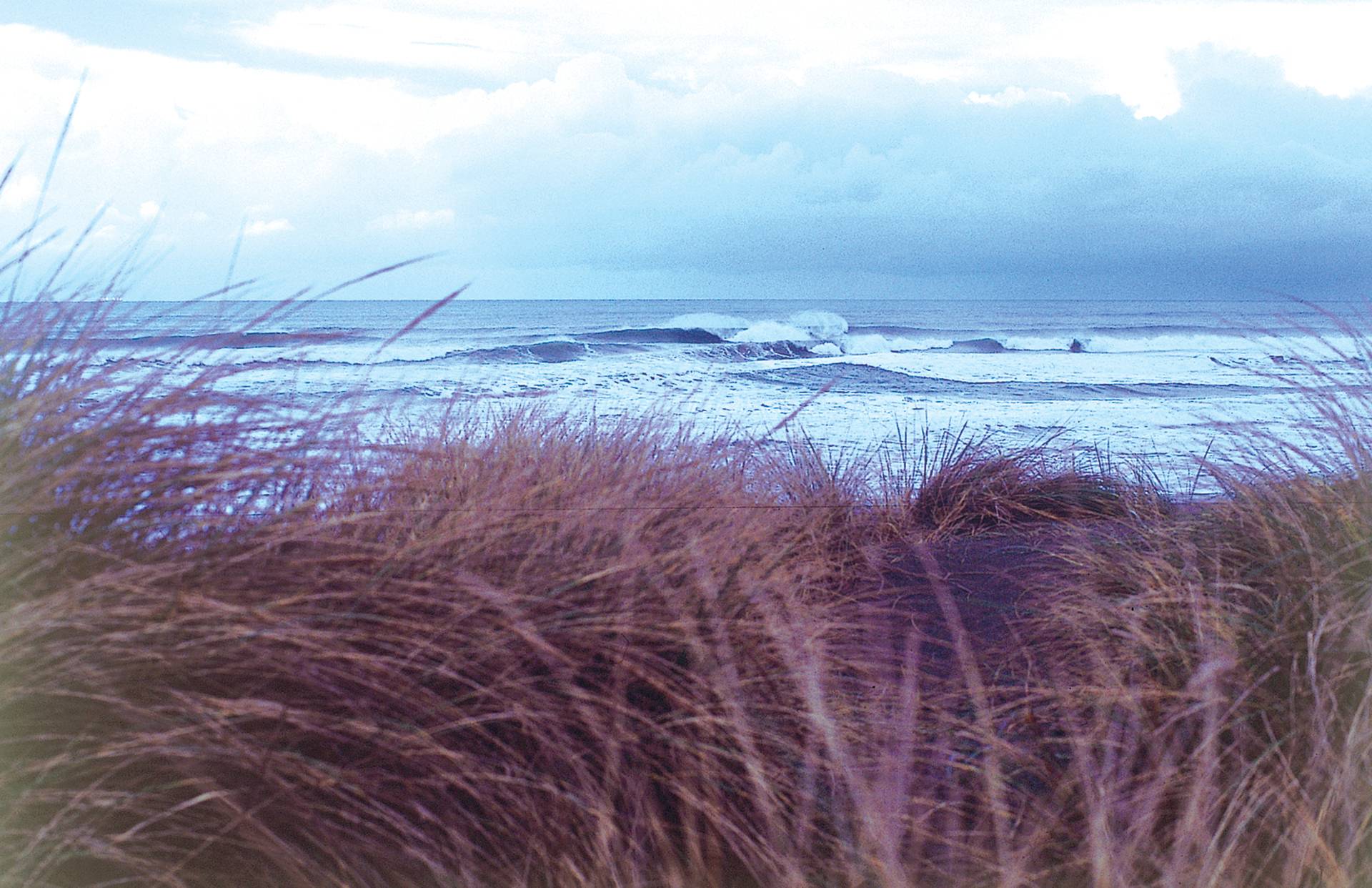 Mad River Beach by Michael Kew