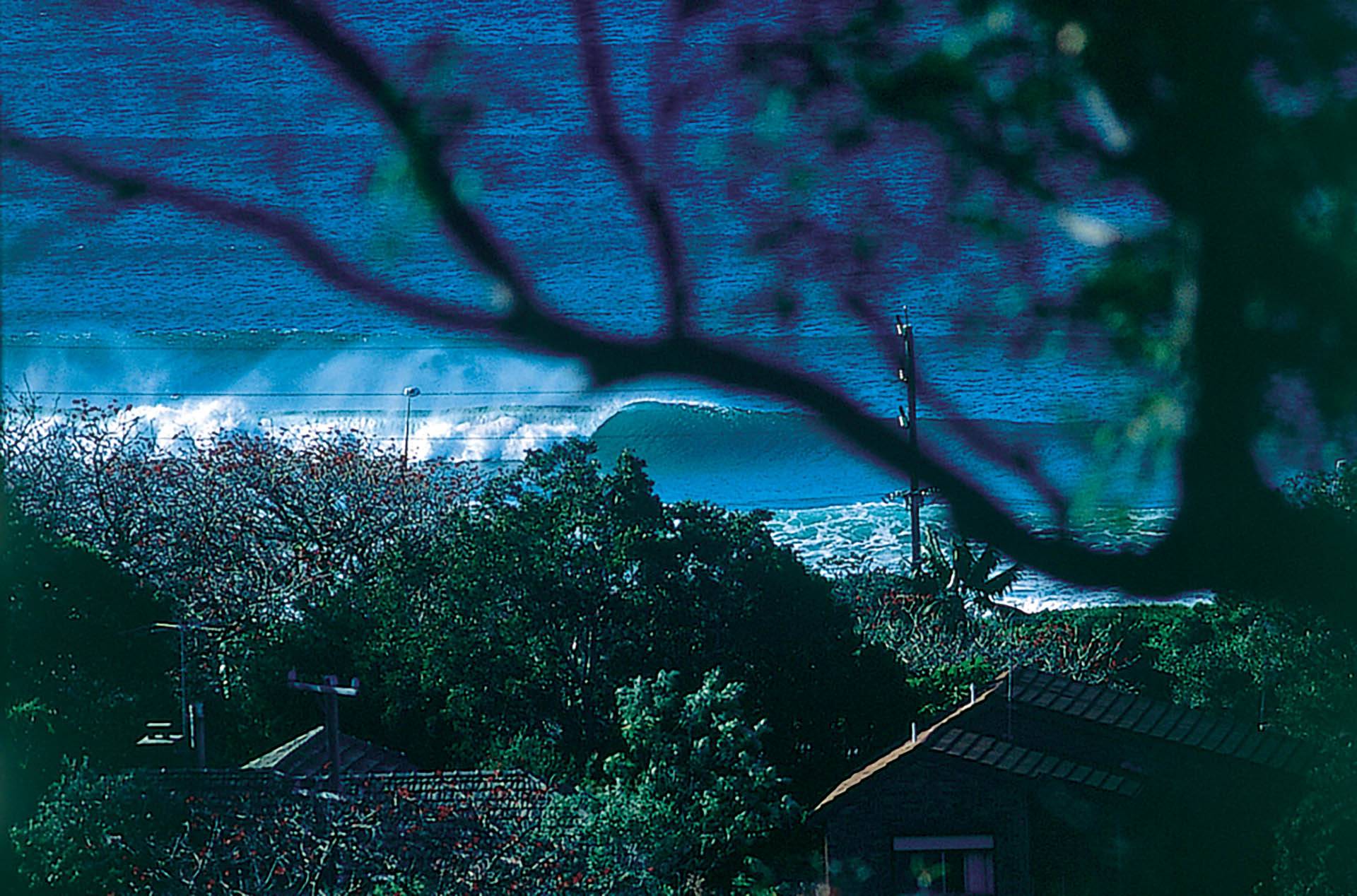 Sydney Northern Beaches secret by Sean Davey