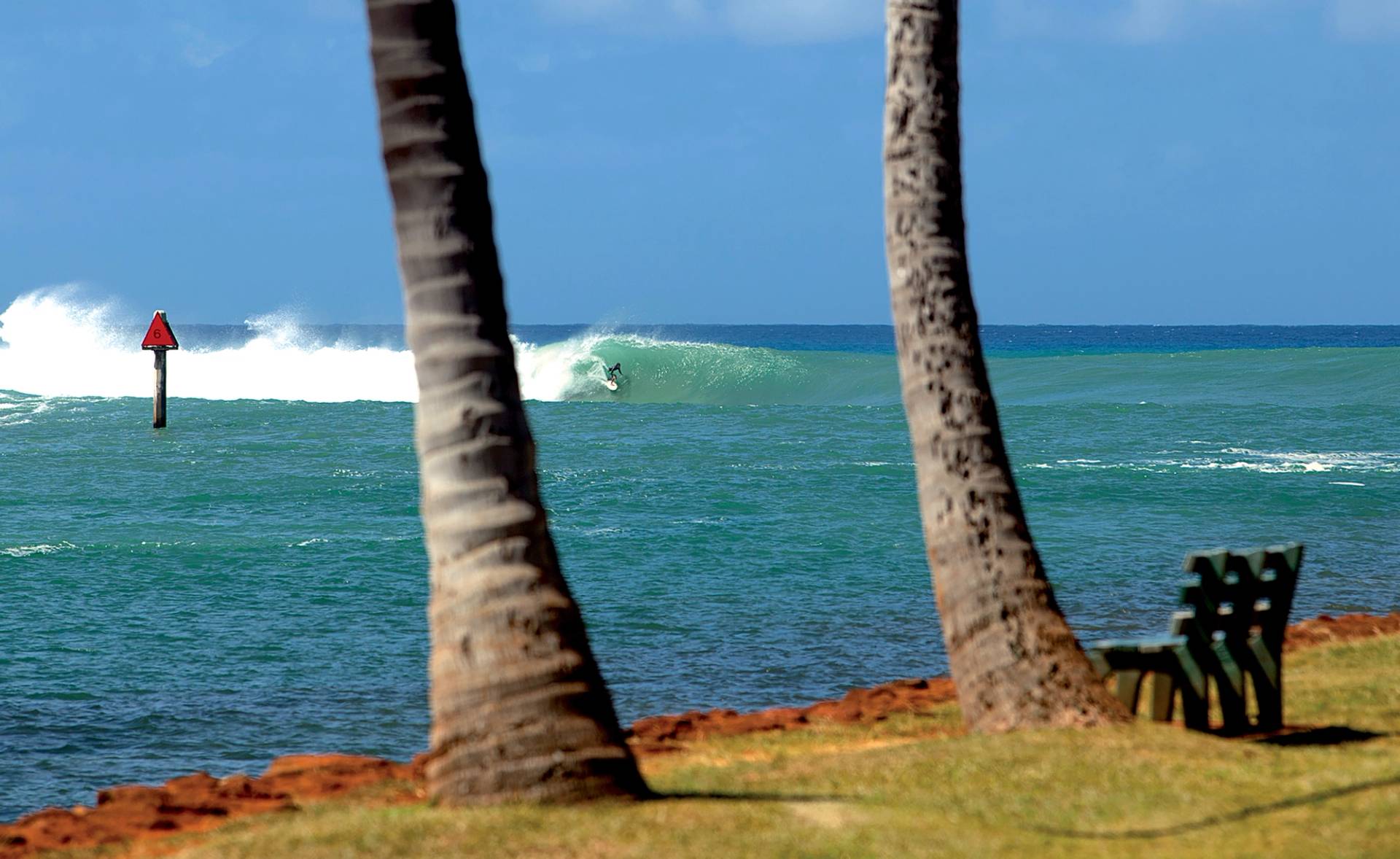 Ala Moana Bowls by Sean Davey