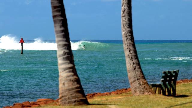 Ala Moana Bowls