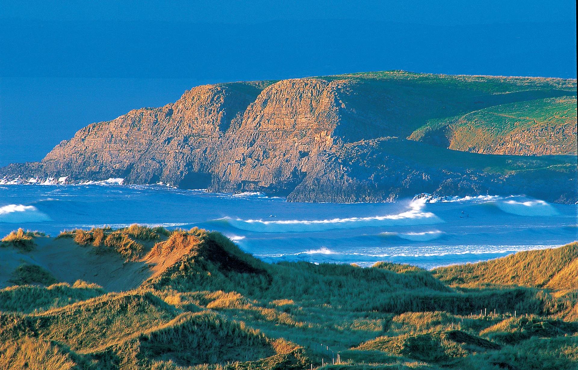 Gower by Phil Holden