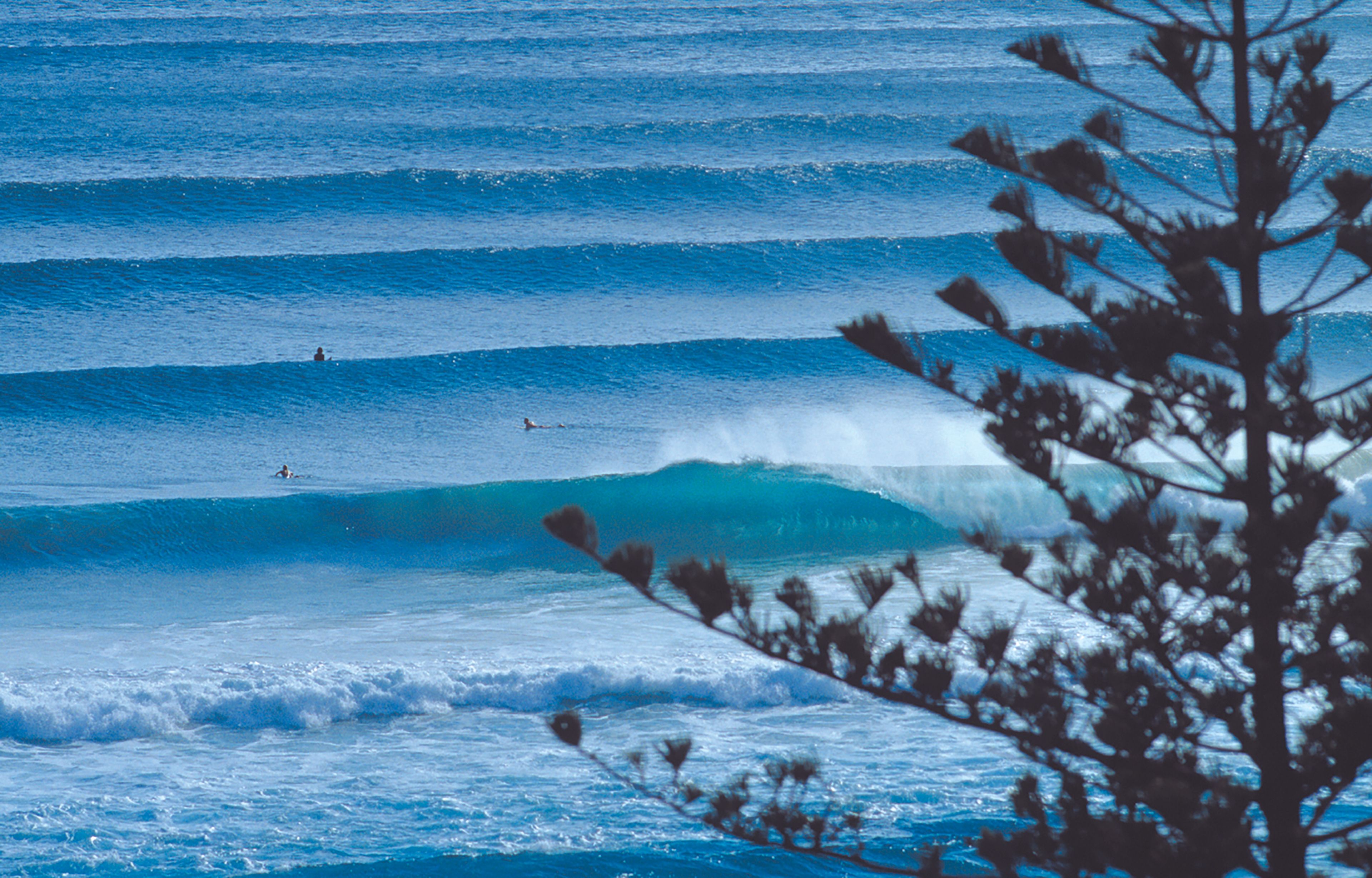 Surfing in Gold Coast, Queensland – Surf Guide & Local Tips ...